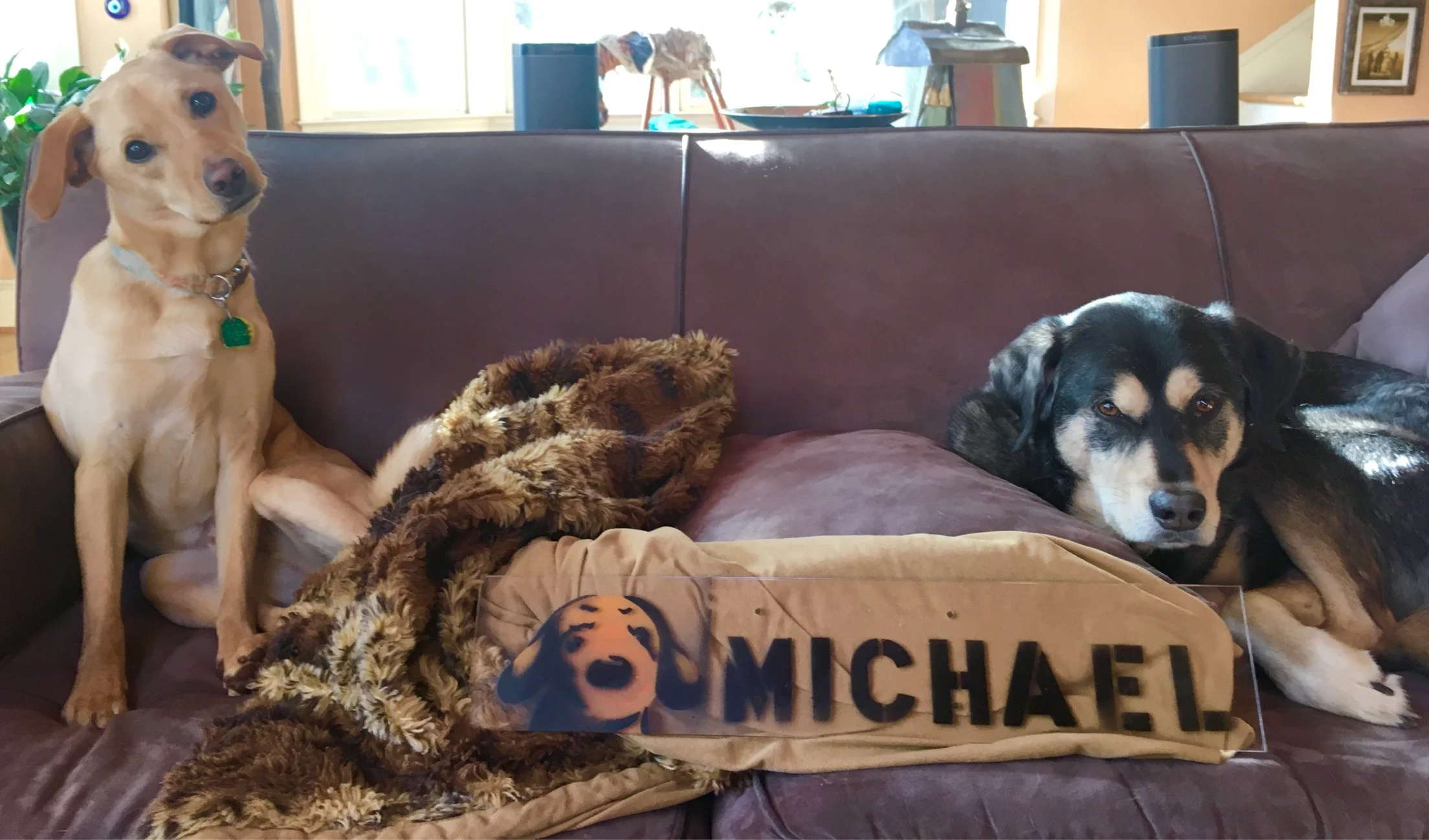 Morty and Otto are with Michael! 