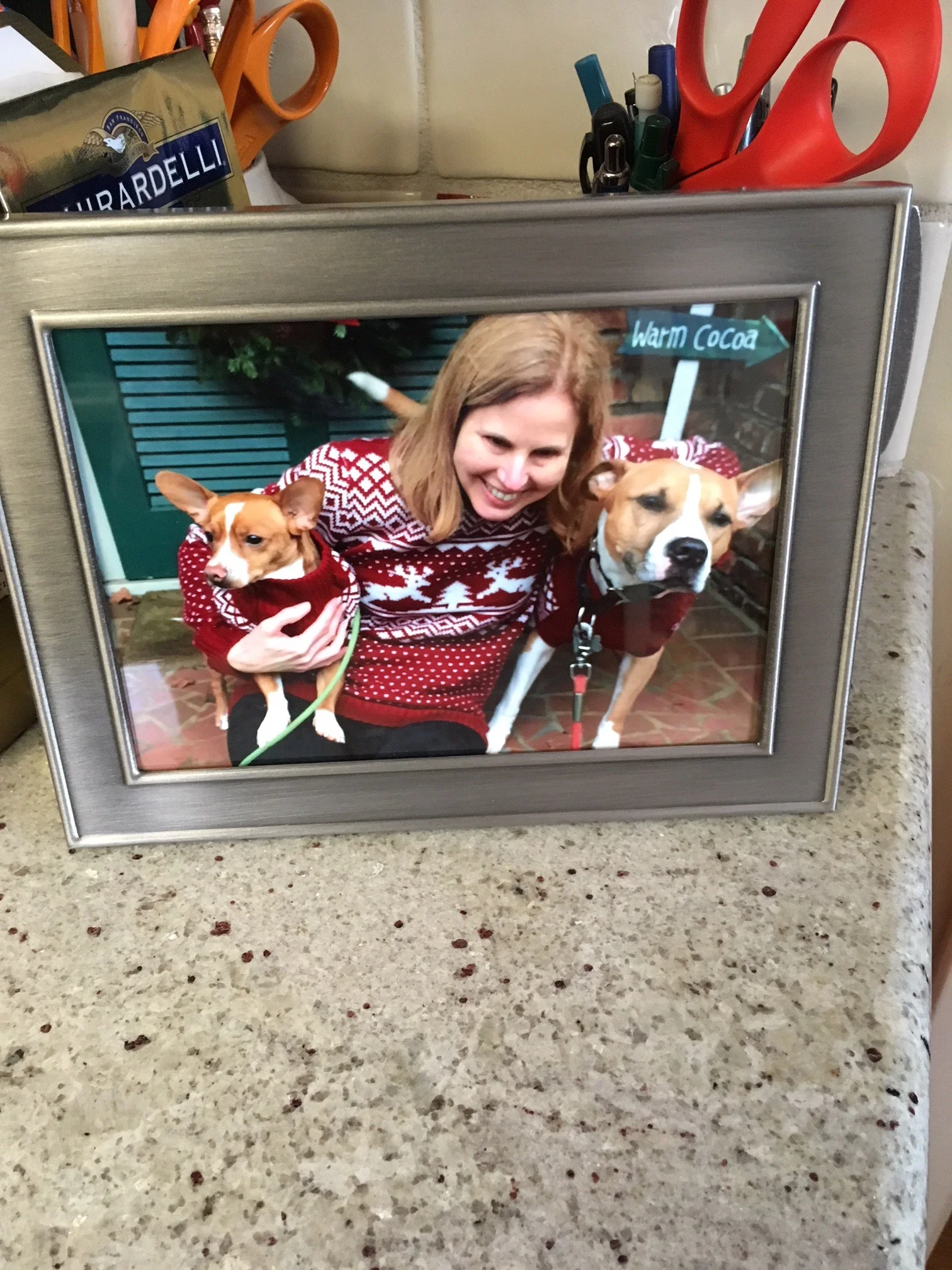 Kay and the Dogs are with Michael 