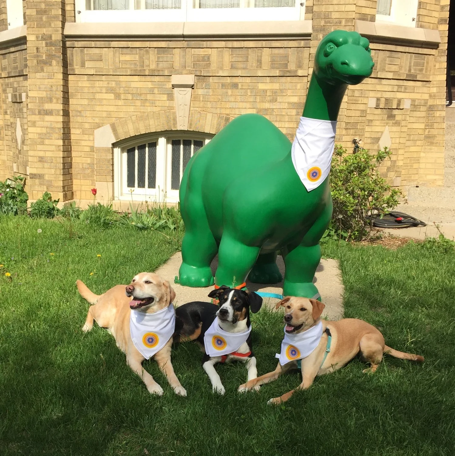 Dogs and Dinos with Michael