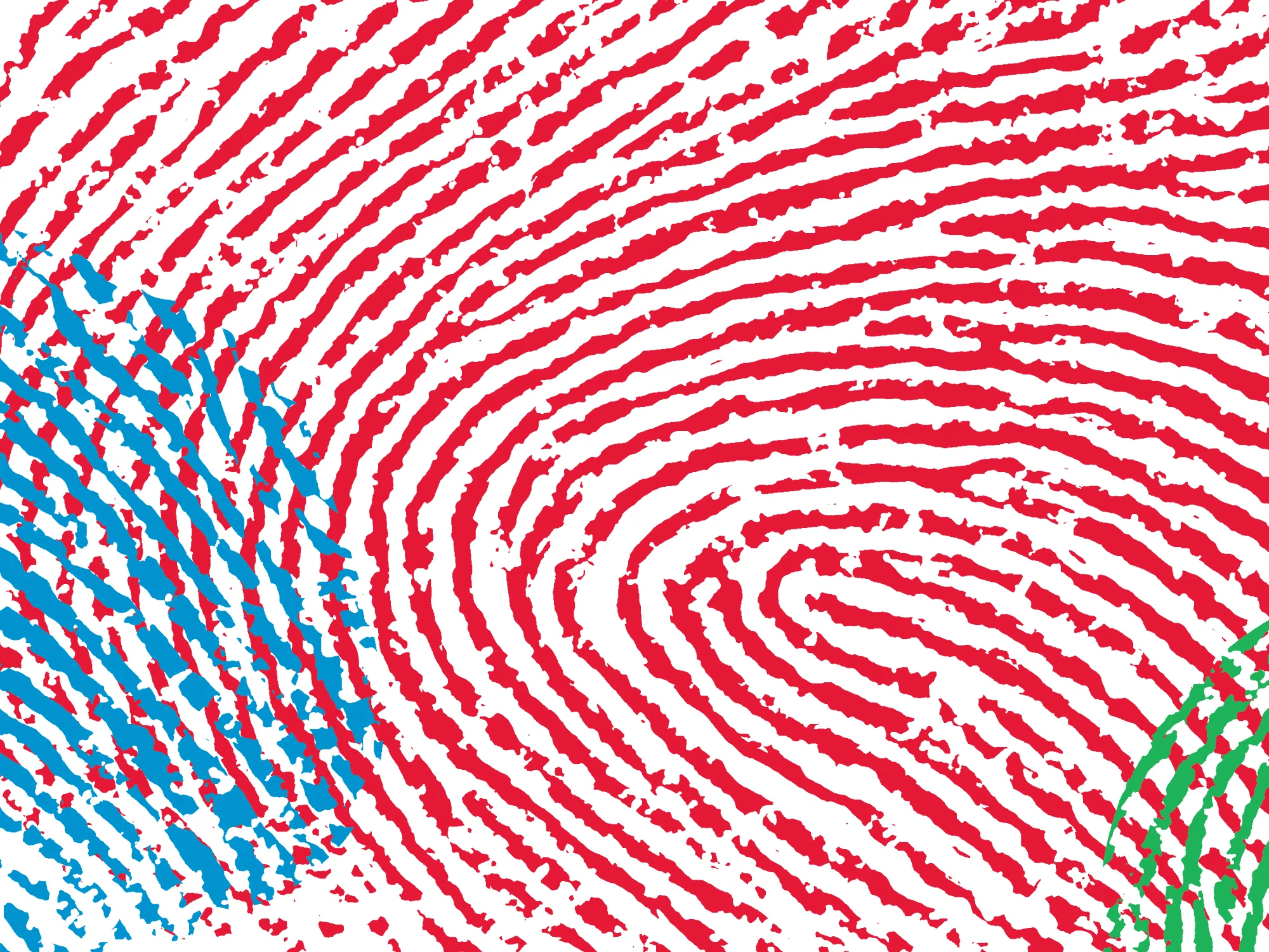 artwagen-fingerprint.jpg