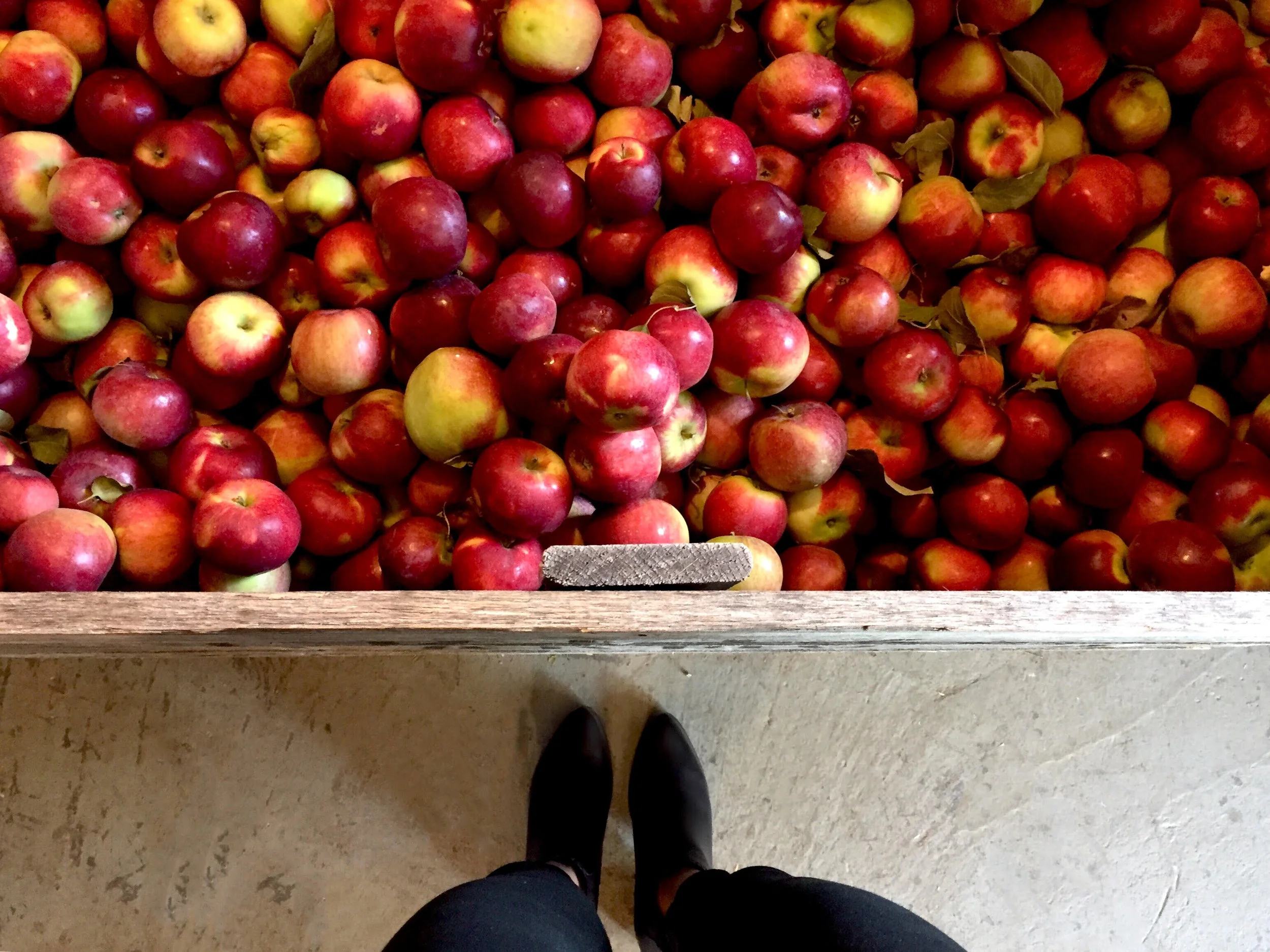apple feet.jpg