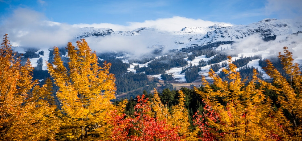 fall-snowline-whistler-1.jpg