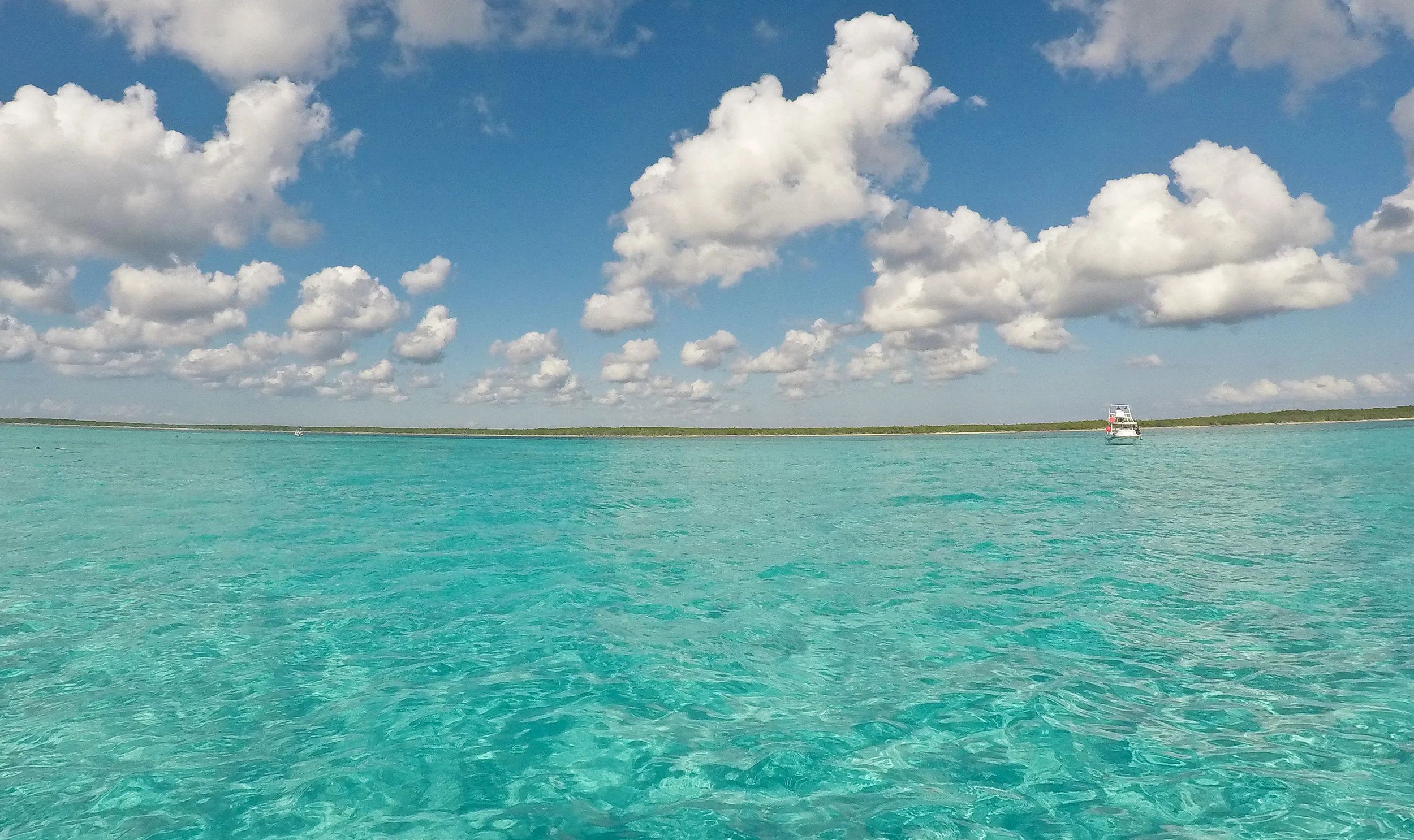 ALR-GOPR0260.jpg