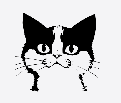 cat.PNG