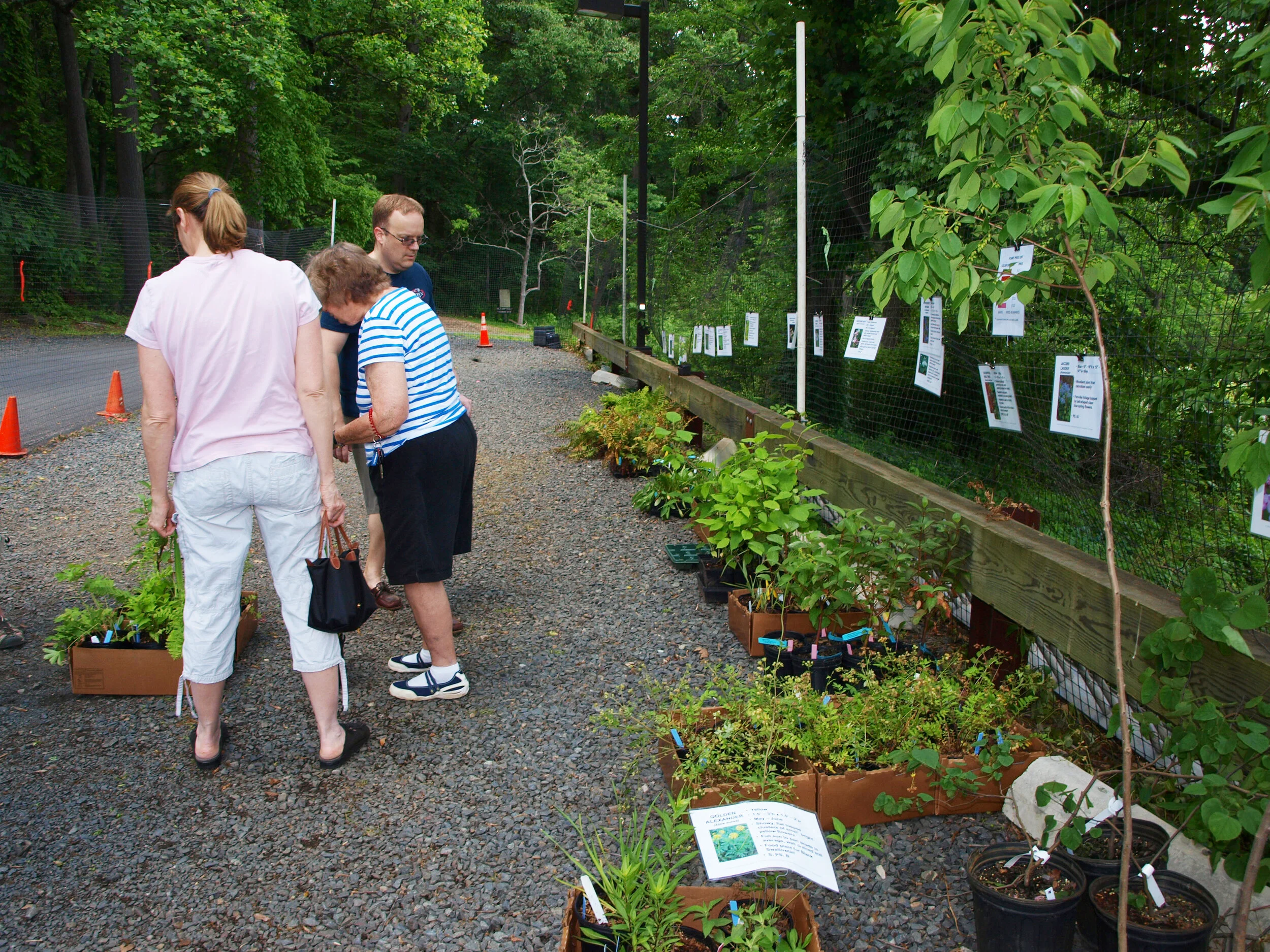Butterfly Garden Certification Program North American Butterfly Association