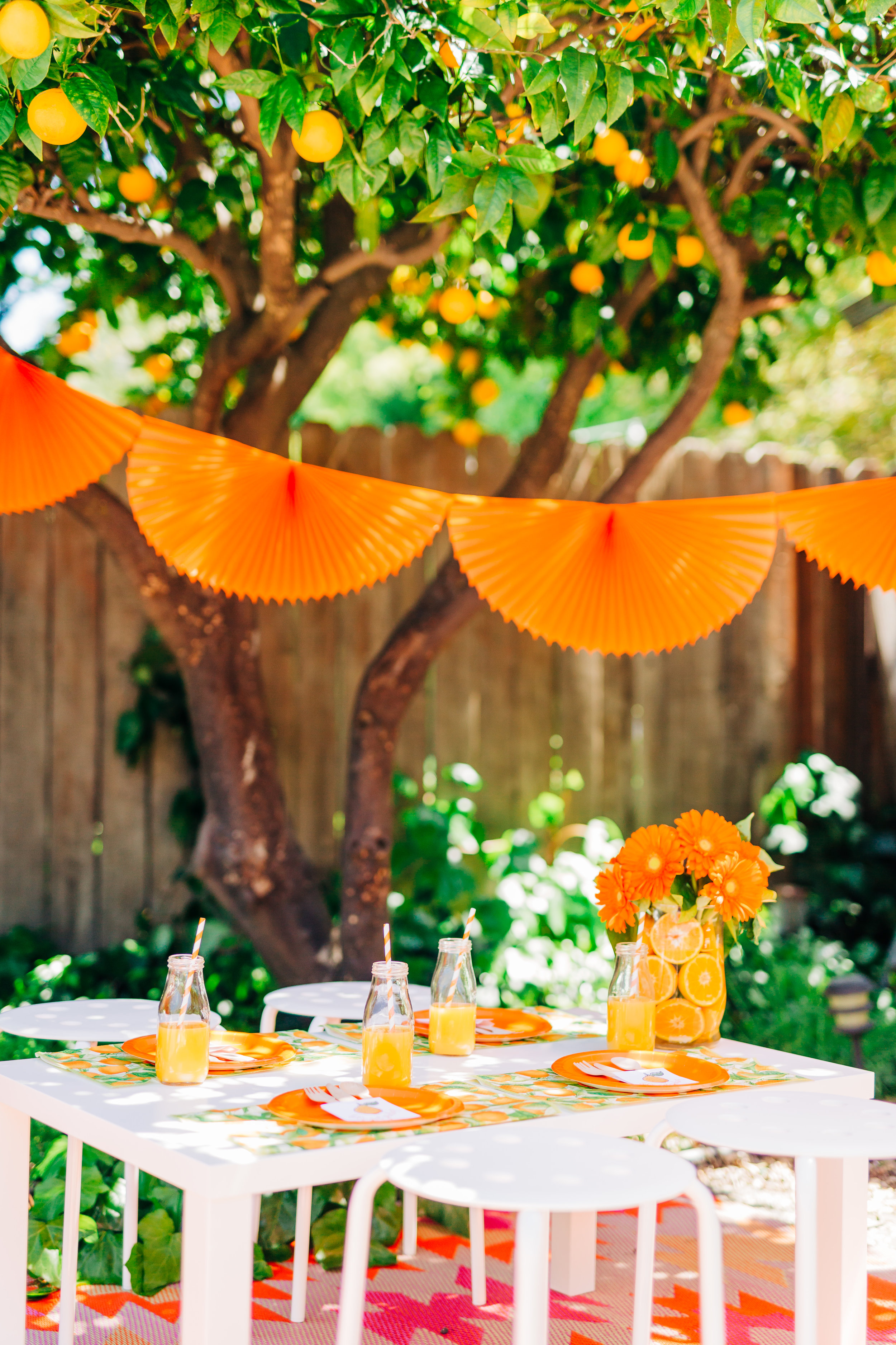 orange picking party with citrus accents and children's table 11.jpg