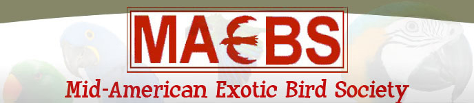 MAEBS title.jpg