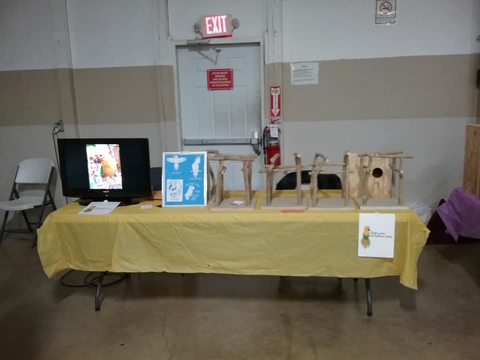 maebs bird fair 2018 table playstands.jpg