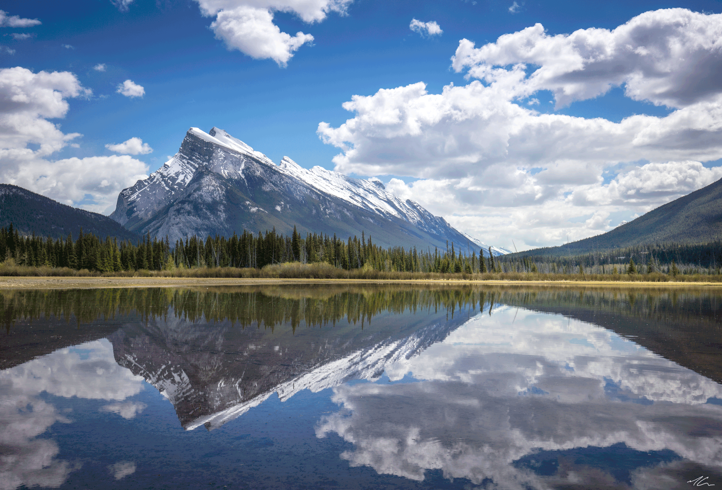 Rundle-SummerW.jpg