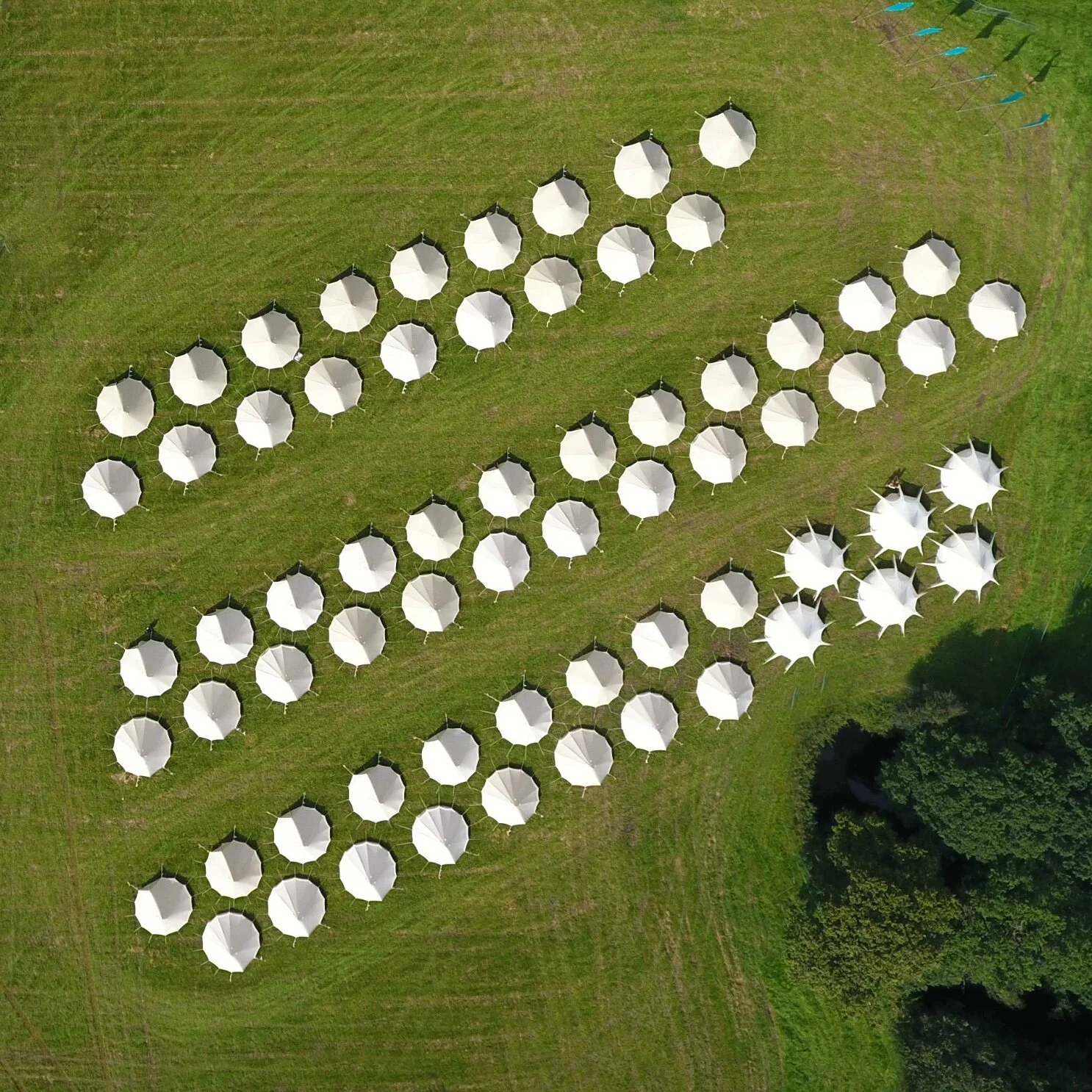 Spotlight Portobello Farms on Sustainability & Music Festivals