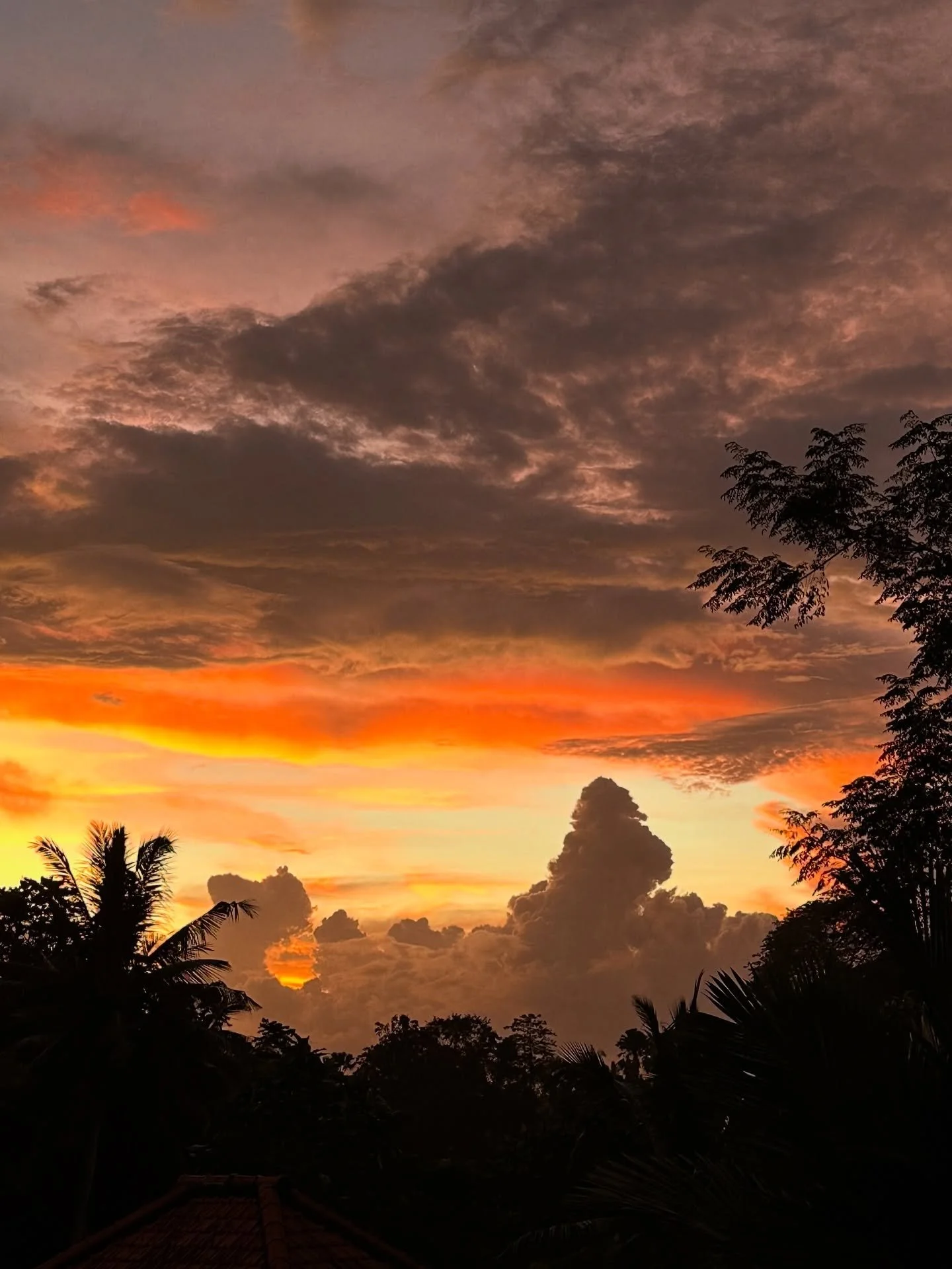 As the year closes, we pause.

To breathe, to release what no longer serves us, and to make space for what&rsquo;s next.

Thank you for being part of our journey - for your support, your trust, and your presence.

Here&rsquo;s to entering the new yea