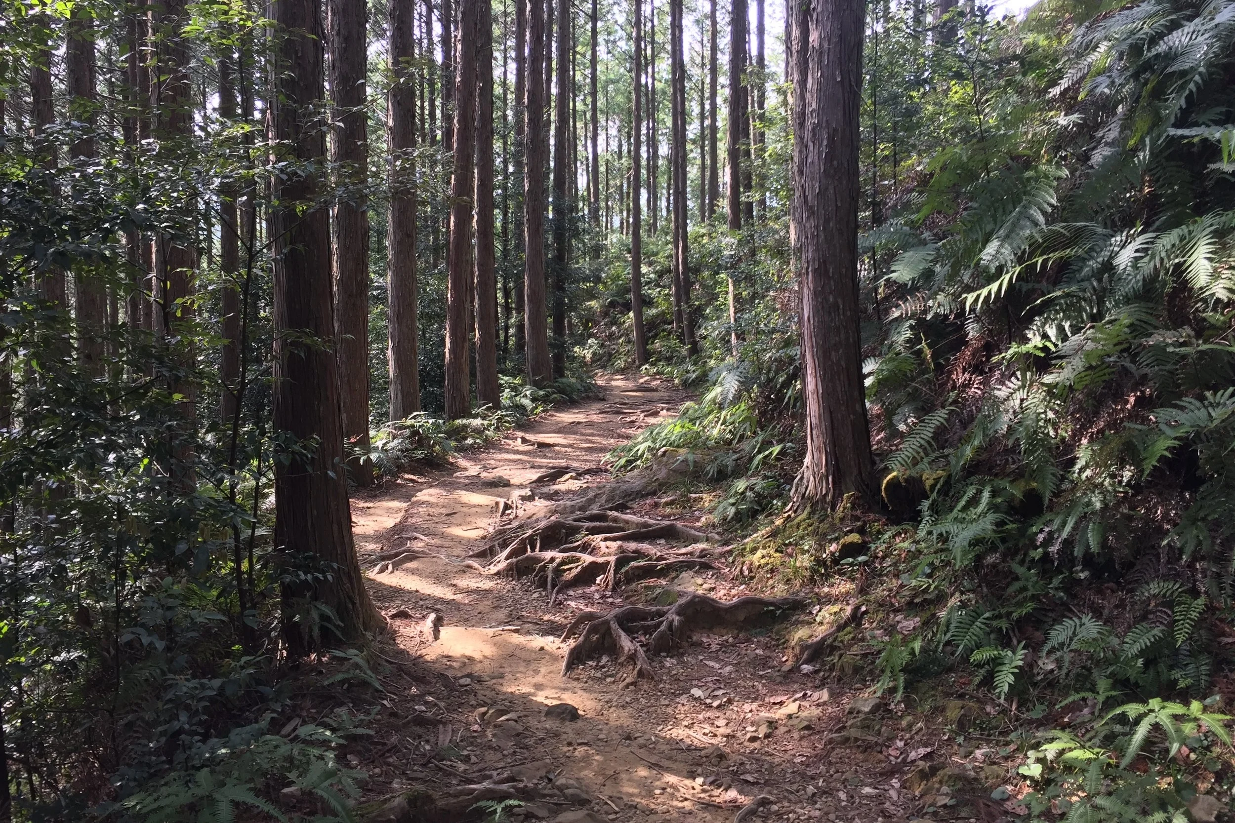 Peaceful Heart Pilgrimage