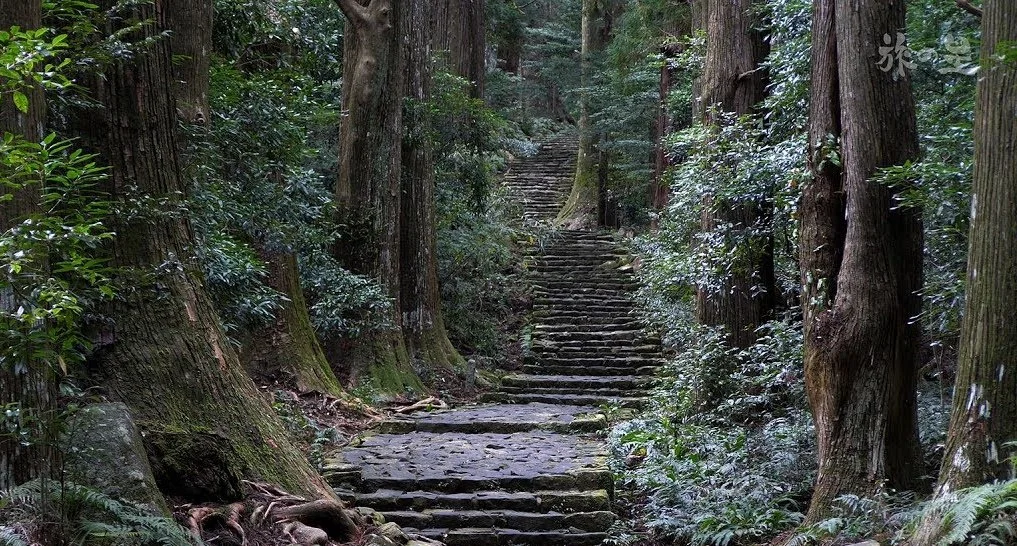 Kumano Gallery 2.jpg