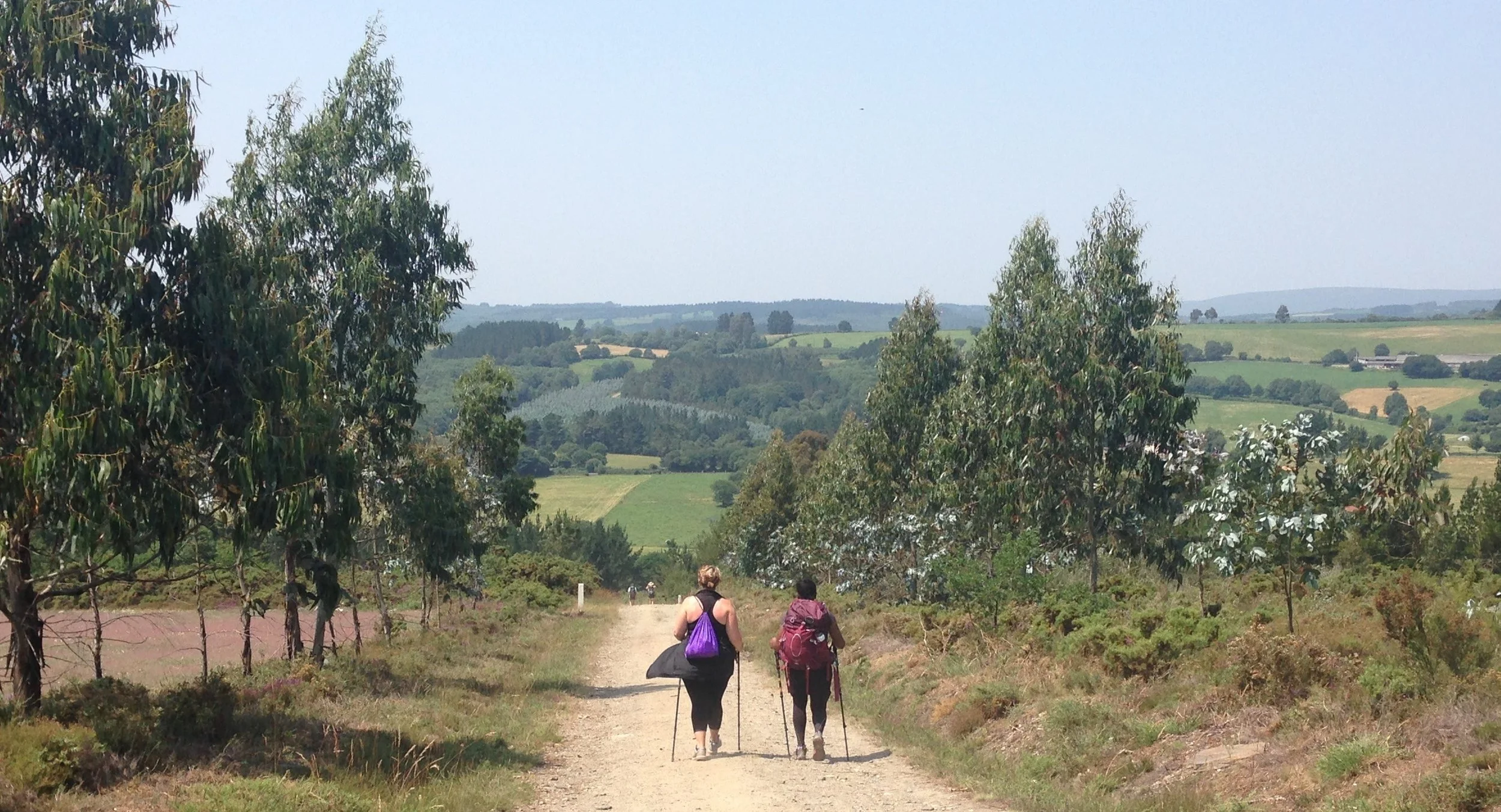 Camino banner big.jpg