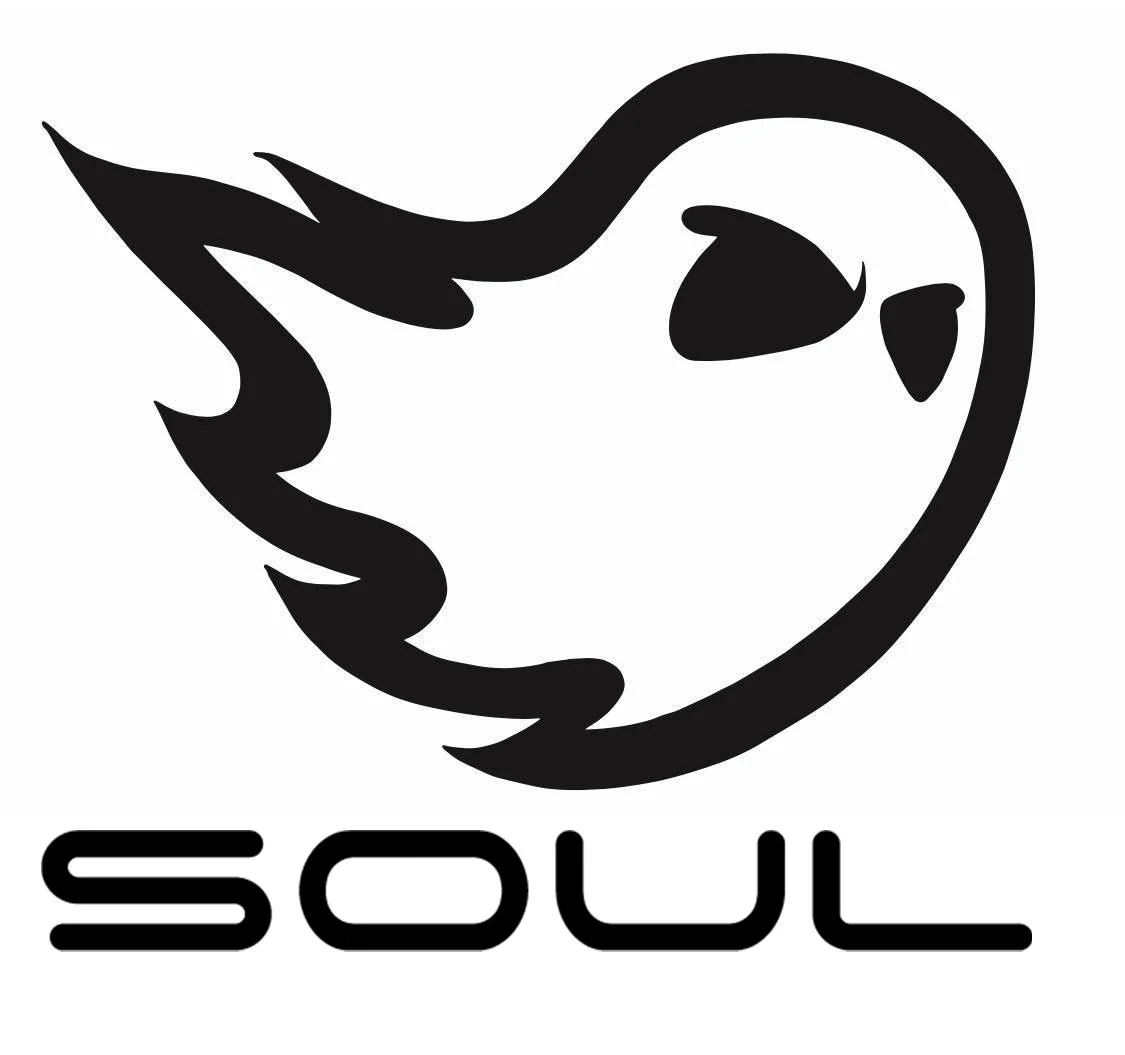 SOUL Ghost Large.jpg