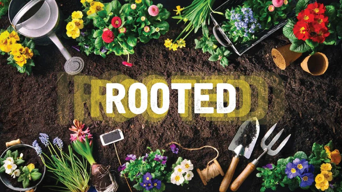 Rooted : Acceptance and Relationships