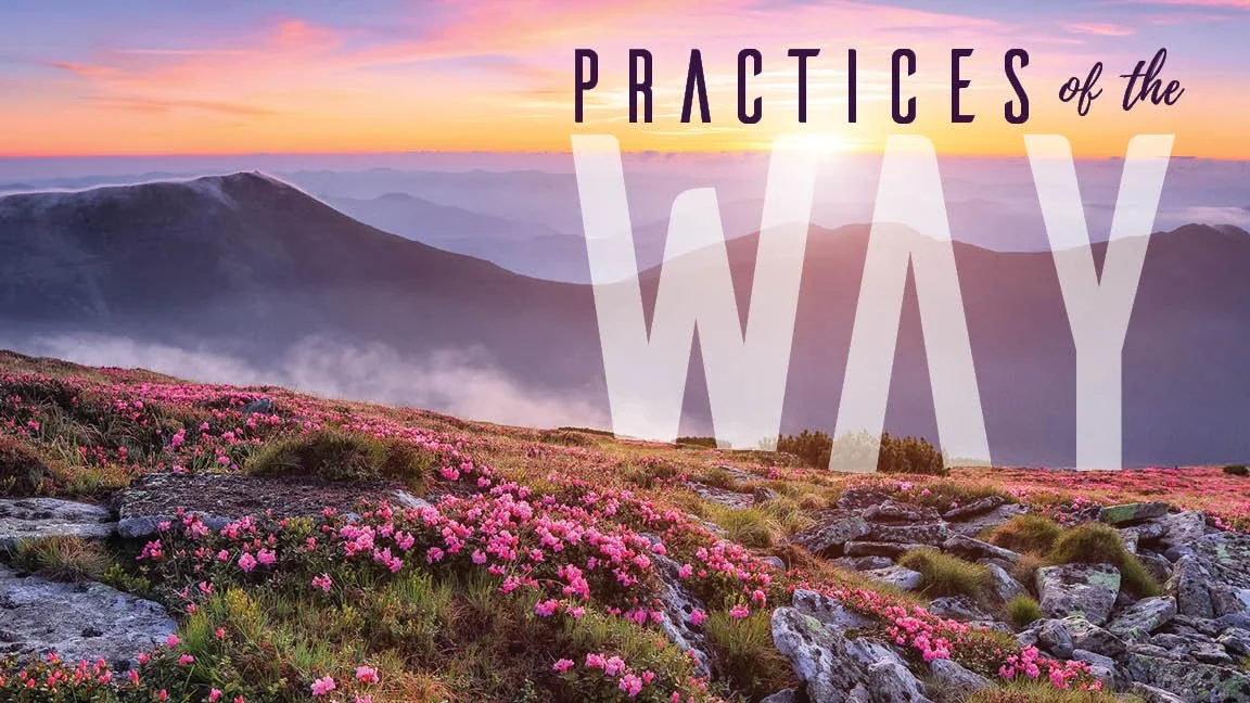 Practices of the Way: Serving episode artwork