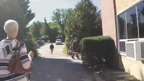 HorizonSundayMorningExperience-ezgif.com-video-to-gif-converter (3).gif
