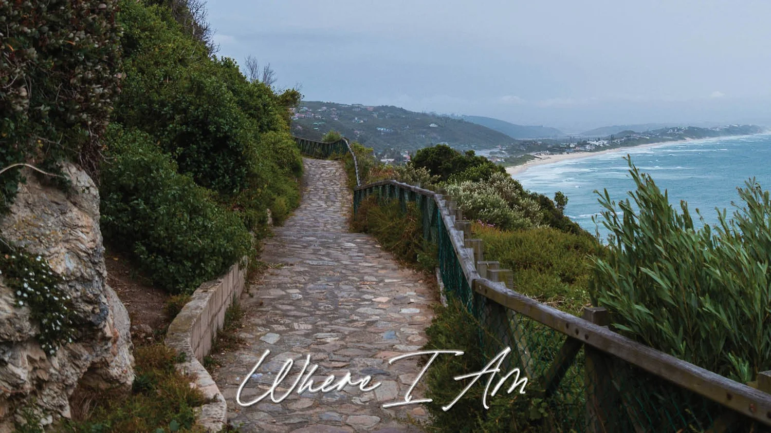 Where I Am: Wilderness episode artwork