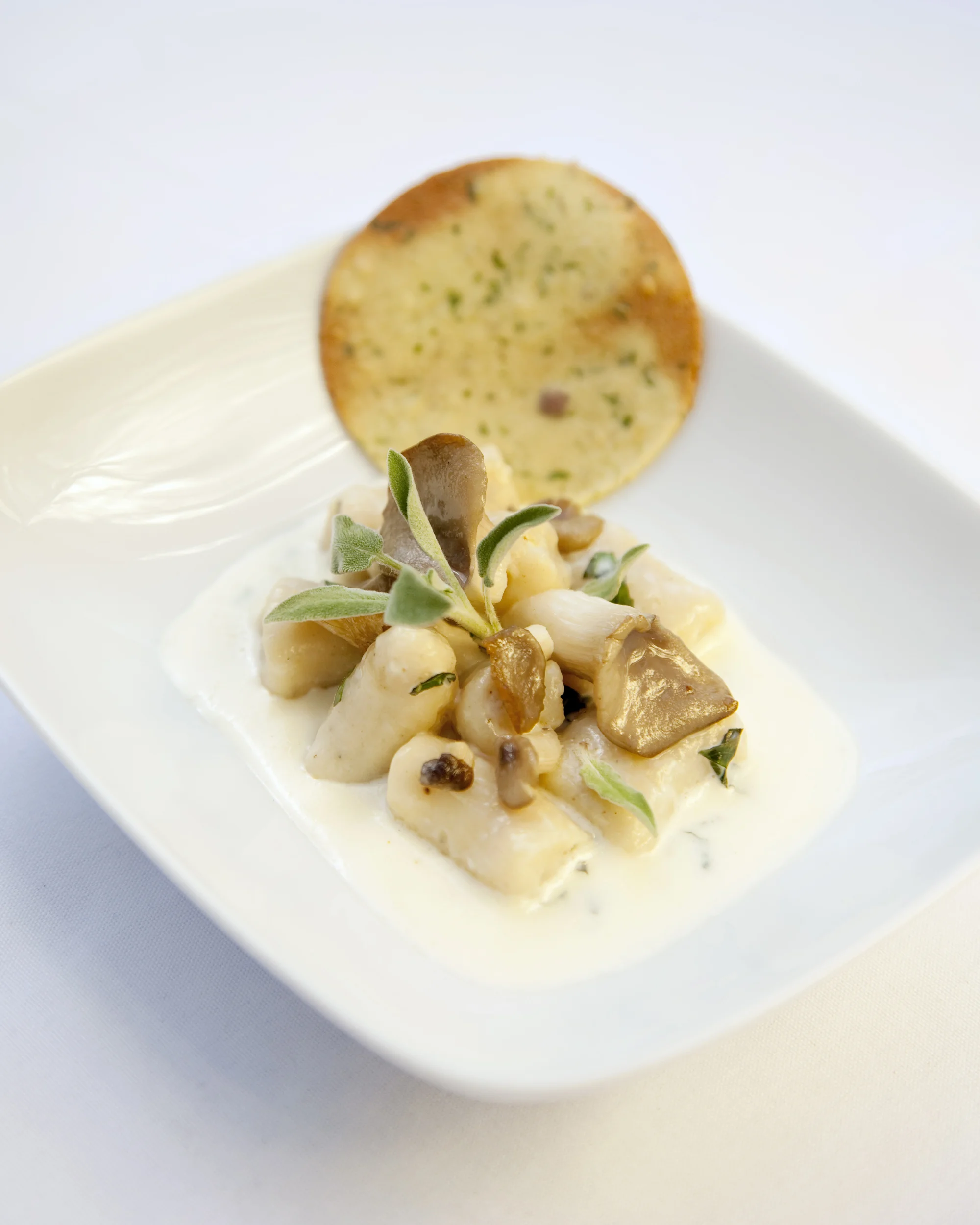 gnocchi_8x10_cooler7606web.jpg