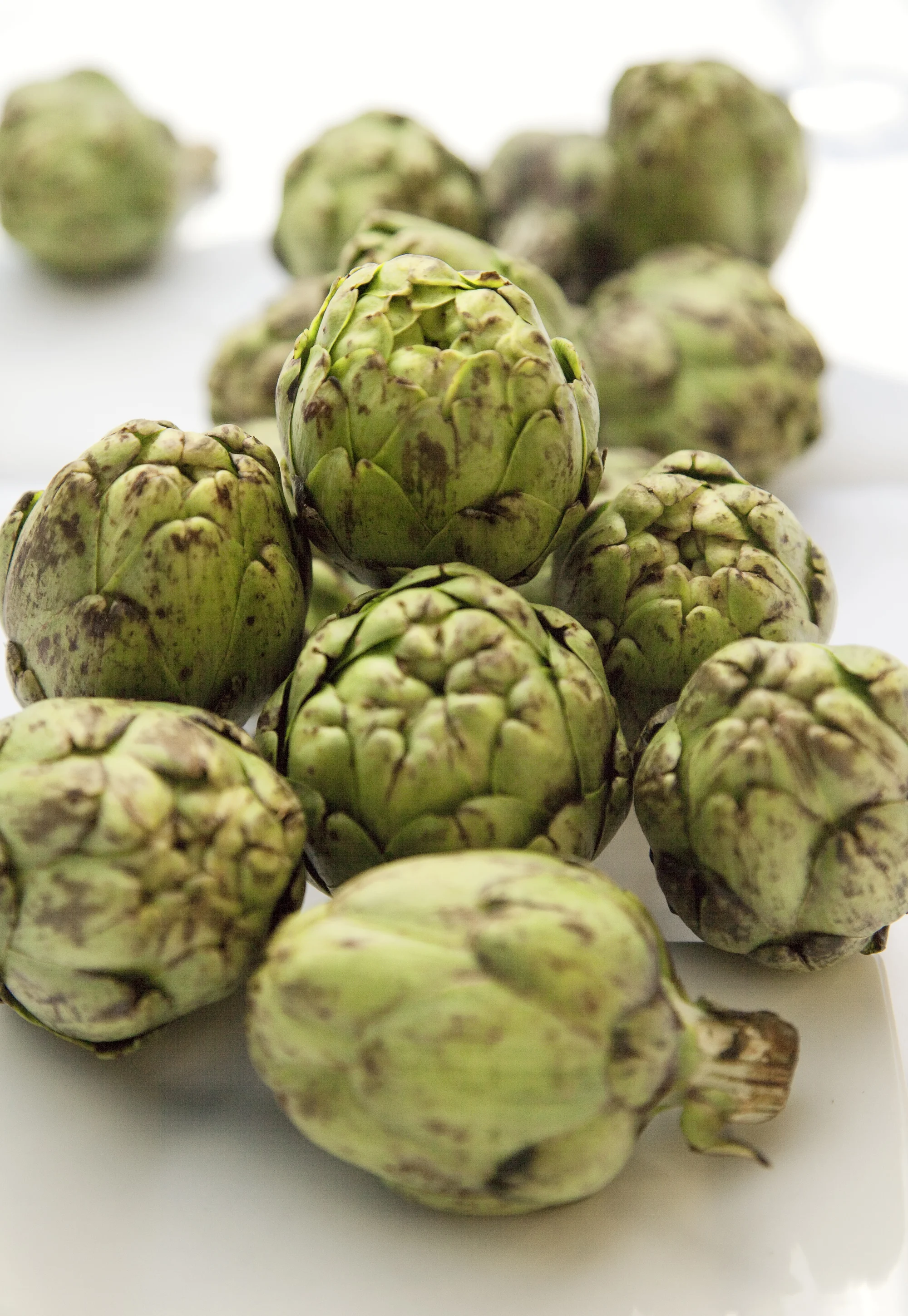 artichokes_crop1_dk7723web.jpg