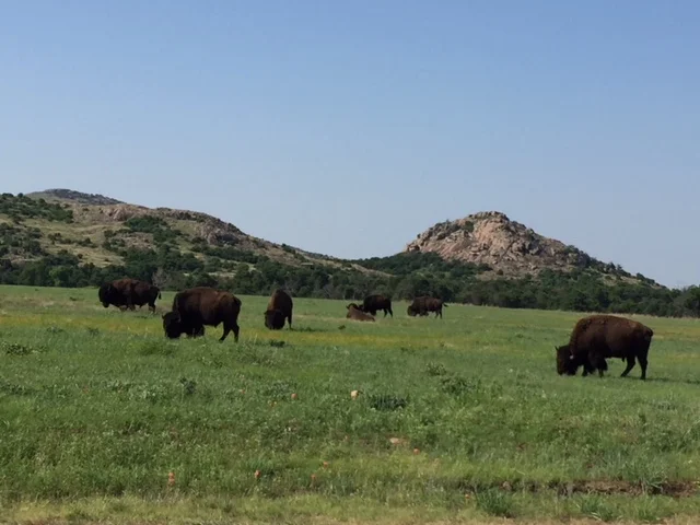 Wichita Mountains National Wildlife Refuge