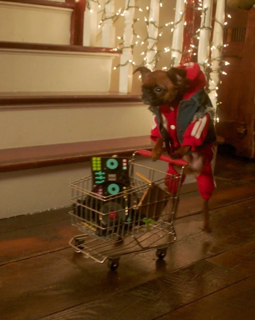 Sony Christmas Playlist | Puppy Party