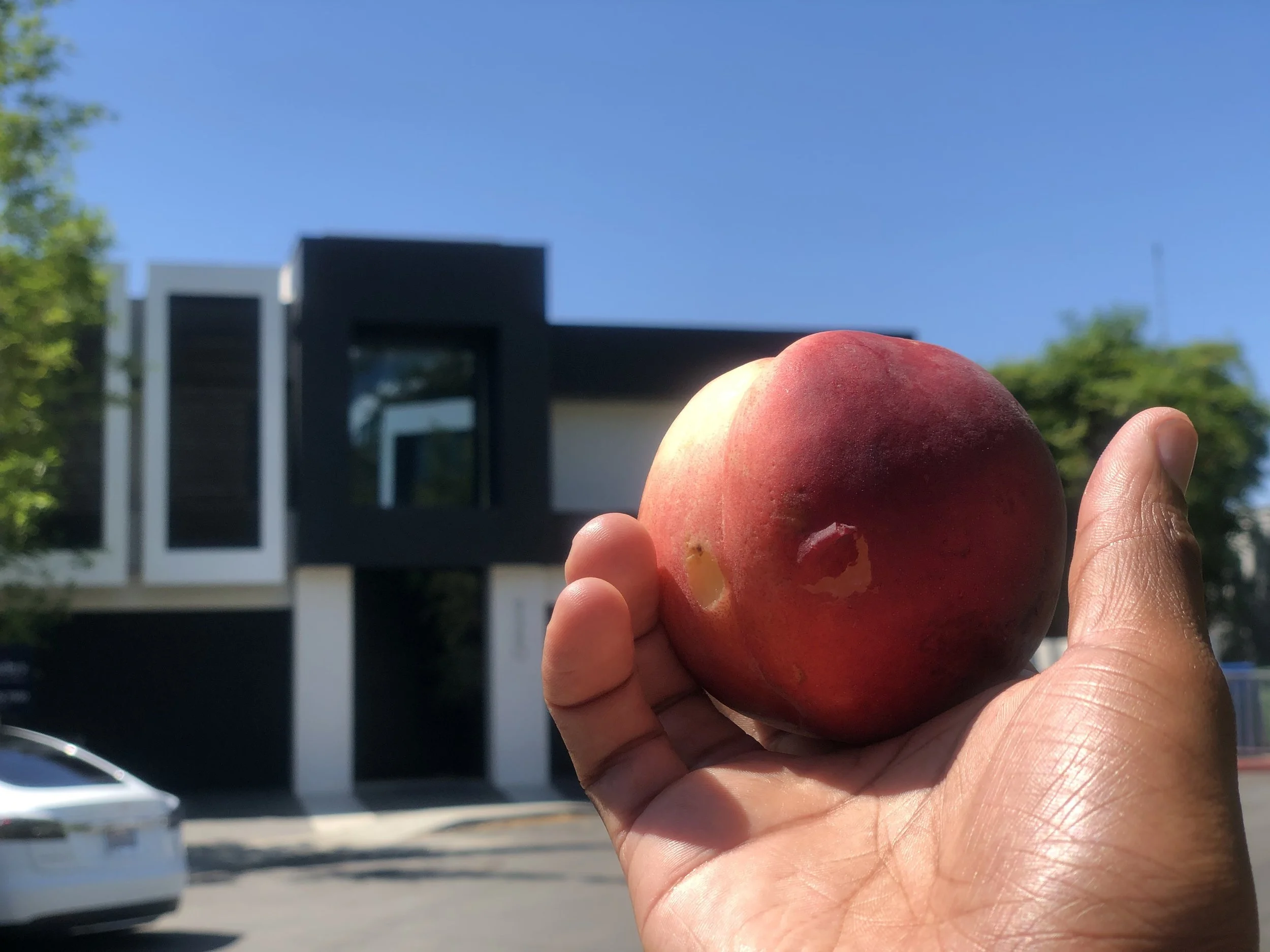 Faith Without Works Is Dead.