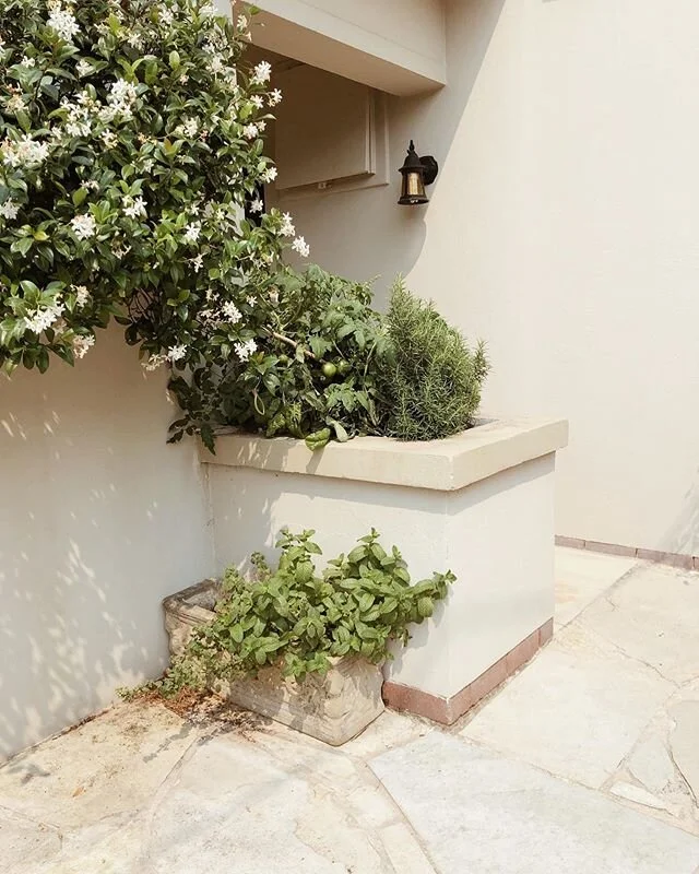 〰️ Herbs. You generally don&rsquo;t use even half the packet and they&rsquo;re always packaged in plastic.
⠀⠀⠀⠀⠀⠀⠀⠀⠀
Think you need a big backyard or loads of space to have grow your own, think again. Look at this tiny little garden snapped a friends