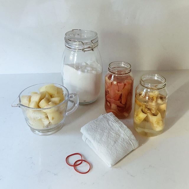 〰️ Today I thought I&rsquo;d find a way to use the remainder of all the apples I stew for my little ones breakfast. I&rsquo;ve decided that to give Apple scrap vinegar a go and so far it seams pretty simple.
⠀⠀⠀⠀⠀⠀⠀⠀⠀
I&rsquo;ve separated the Apple c