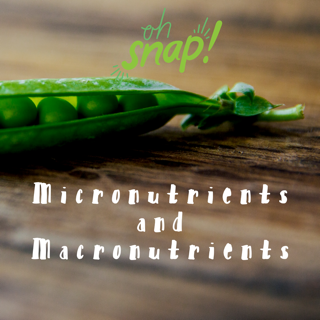macroblog7.png