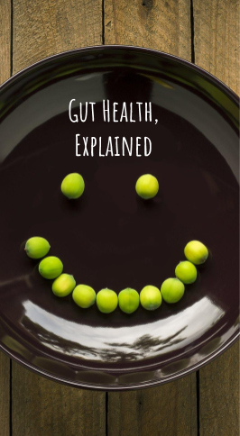 Gut Health Explained