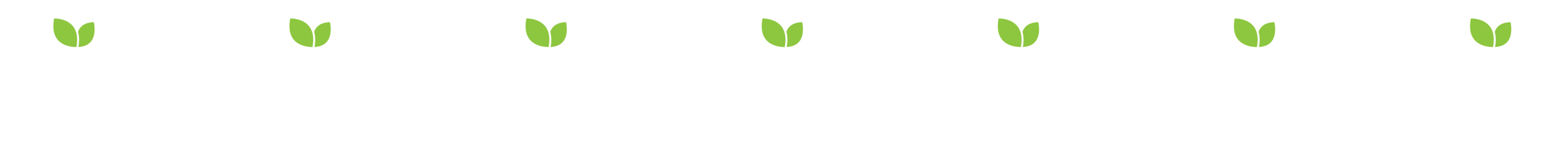 Mountain Berry Bowls Boise