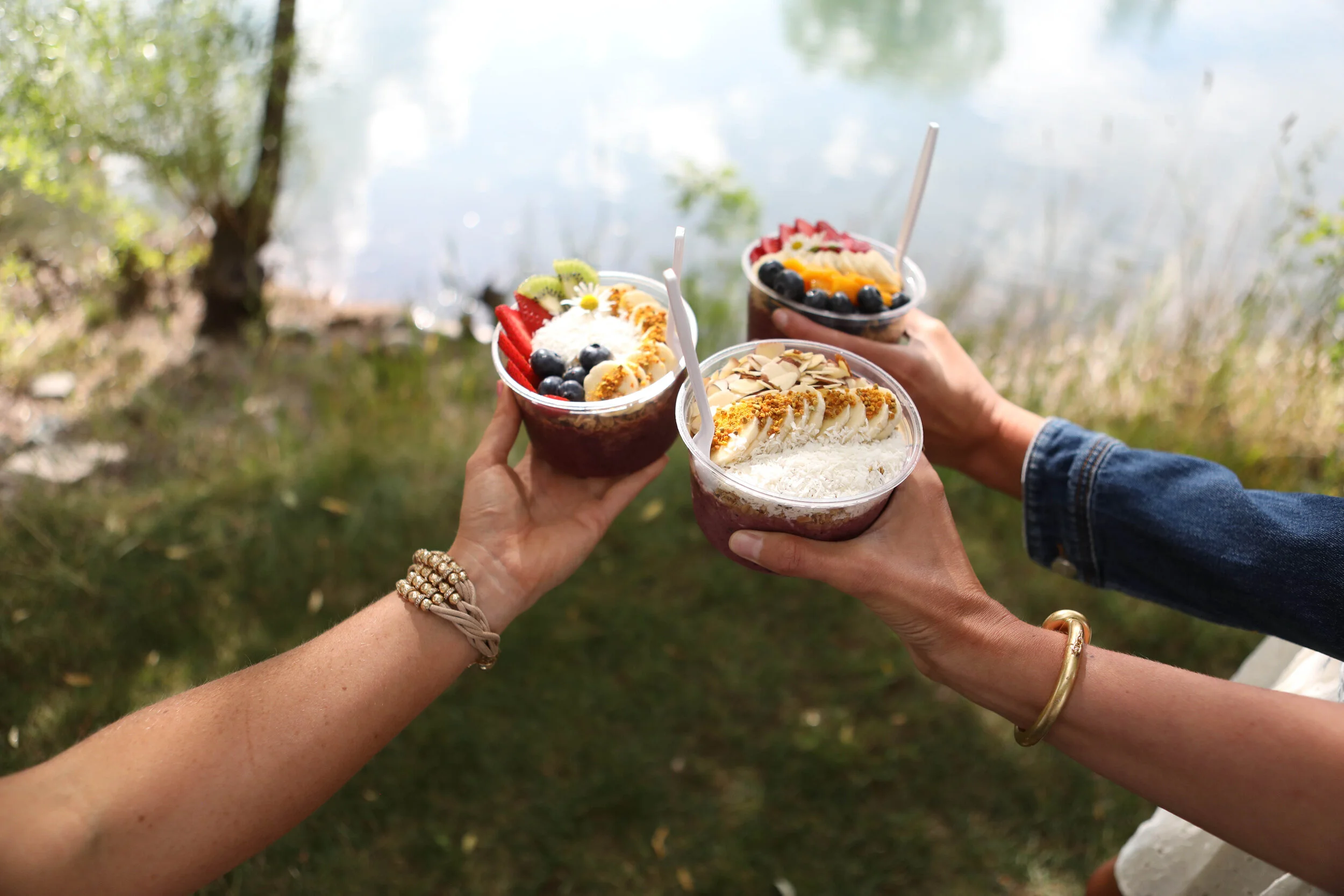 Mountain Berry Bowls