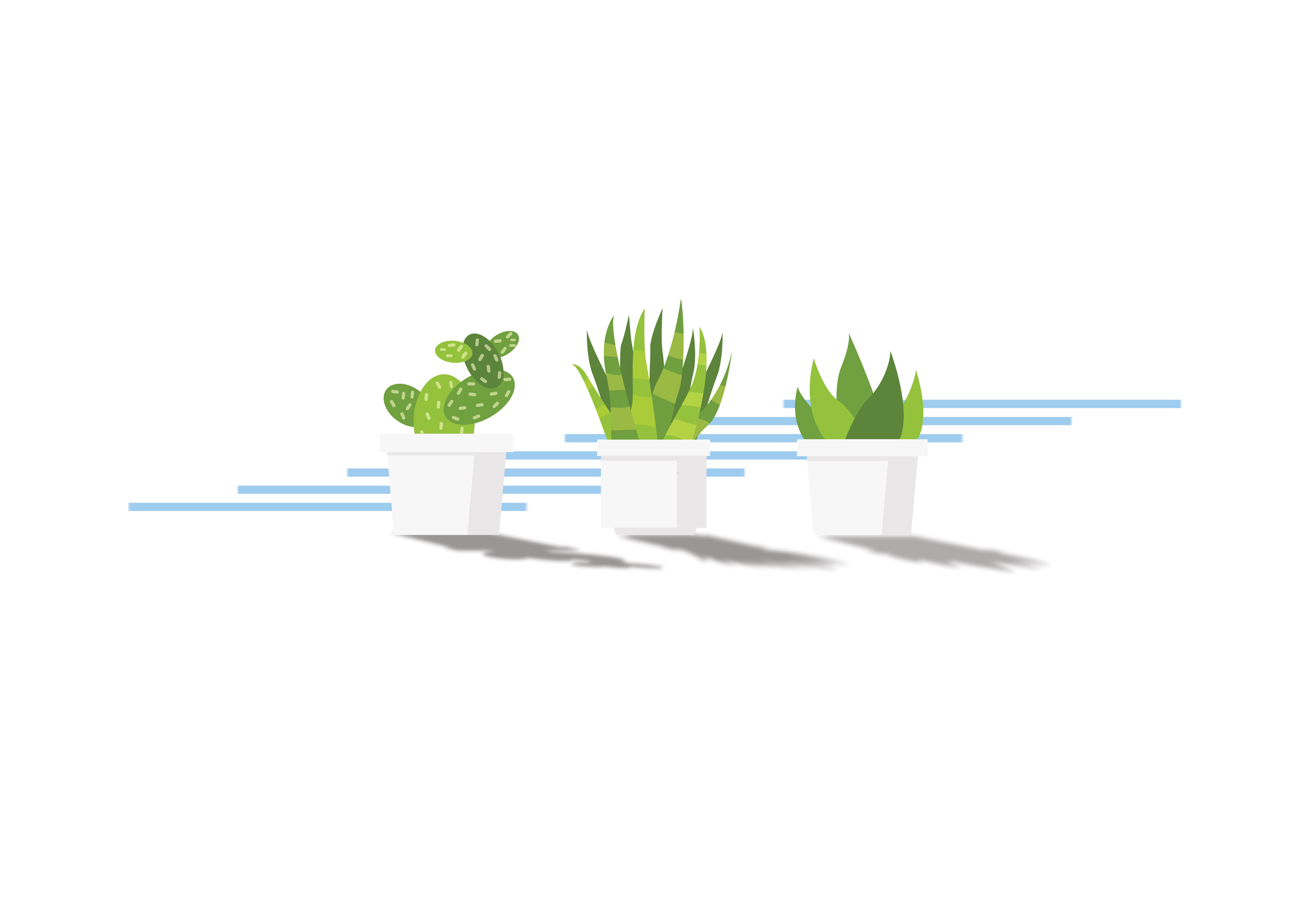 Yucca-Horizontal-bars-squished.png