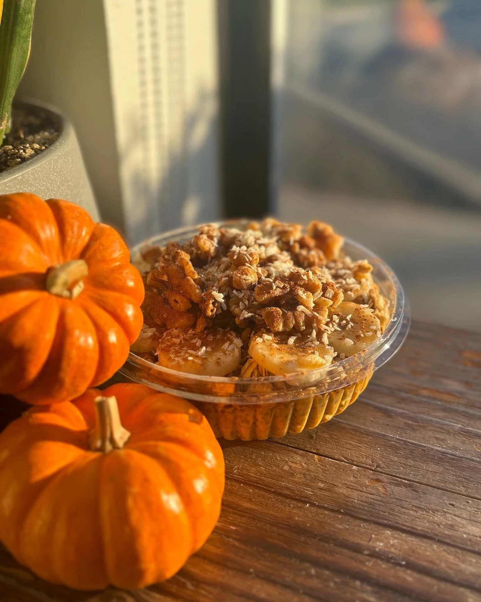 Pumpkin is in the air! 🎃
Our fall specials are here - packed with cozy pumpkin flavor, all through October + November. Come get your fall fix! 🍂

The Lineup: Pumpkin Chia Power Bowl + Pumpkin Pie Smoothie ✨

#fallfaves #spookyseason #pumpkin #nuyuj