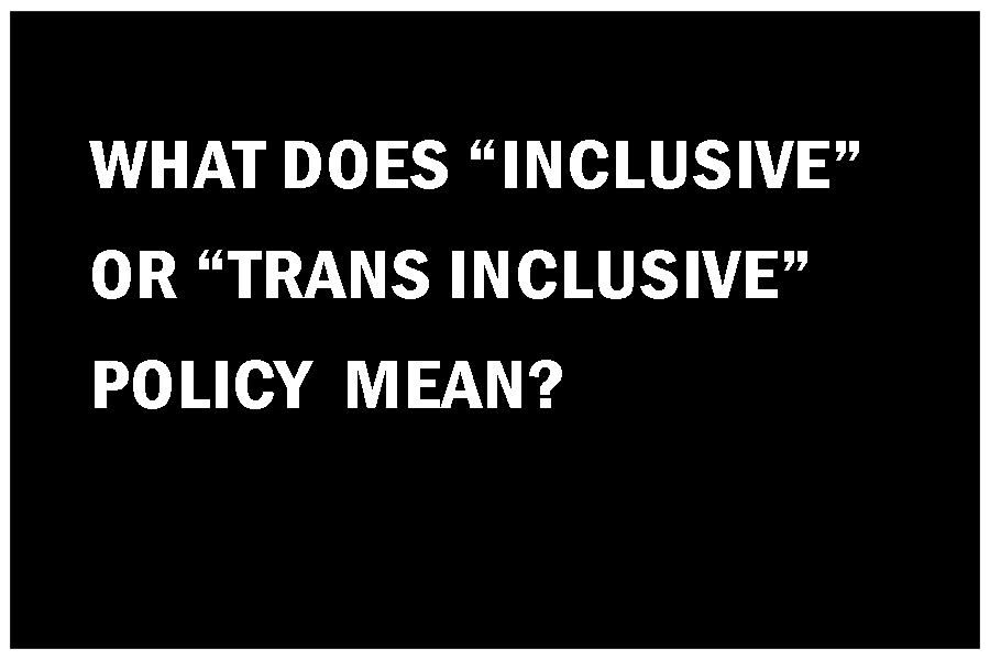  A “trans-inclusive” policy changes single sex services, facilities, positions (etc) to unisex.  That is, anyone who says they “identify as” a girl/woman is regarded as eligible for girls/women’s single sex spaces, services, positions, teams, awards 