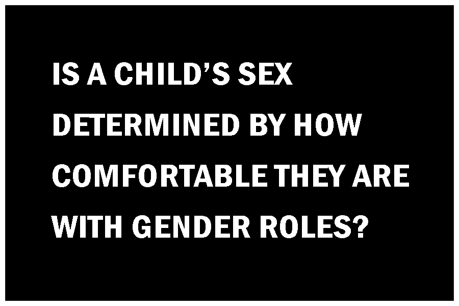   No. Evolutionary biology is a tad more reliable than that.  Biology isn’t watching youtube, reading diaries, status updates or and it doesn’t care what we think. People of all ages and both sexes have hugely varying social characteristics, many of 