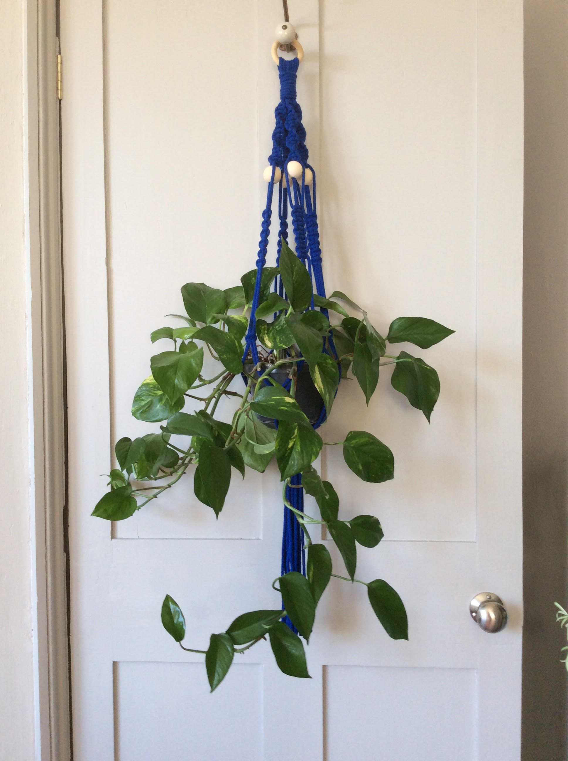 bluehanger.jpg
