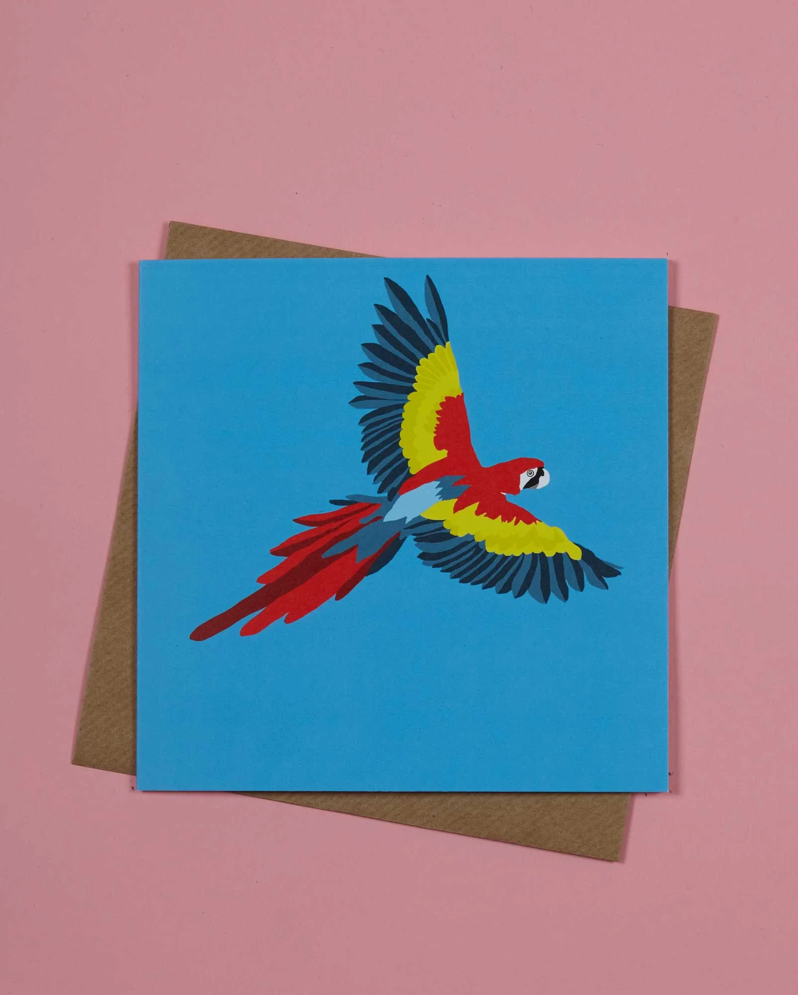 Rosa-Doyle-Peruvian-Animal-Card-Scarlet-Macaw.jpg