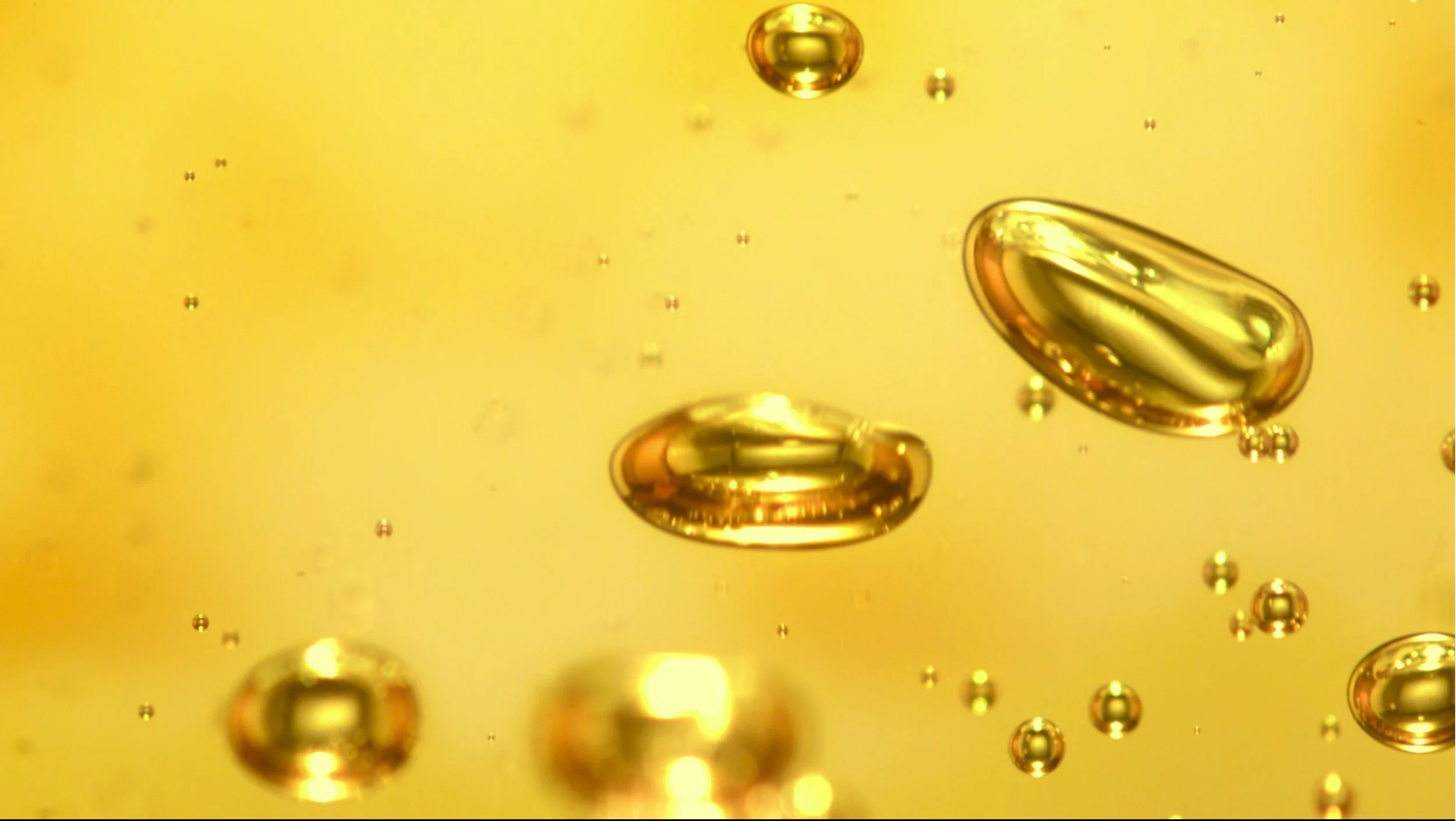 heineken screen.jpeg