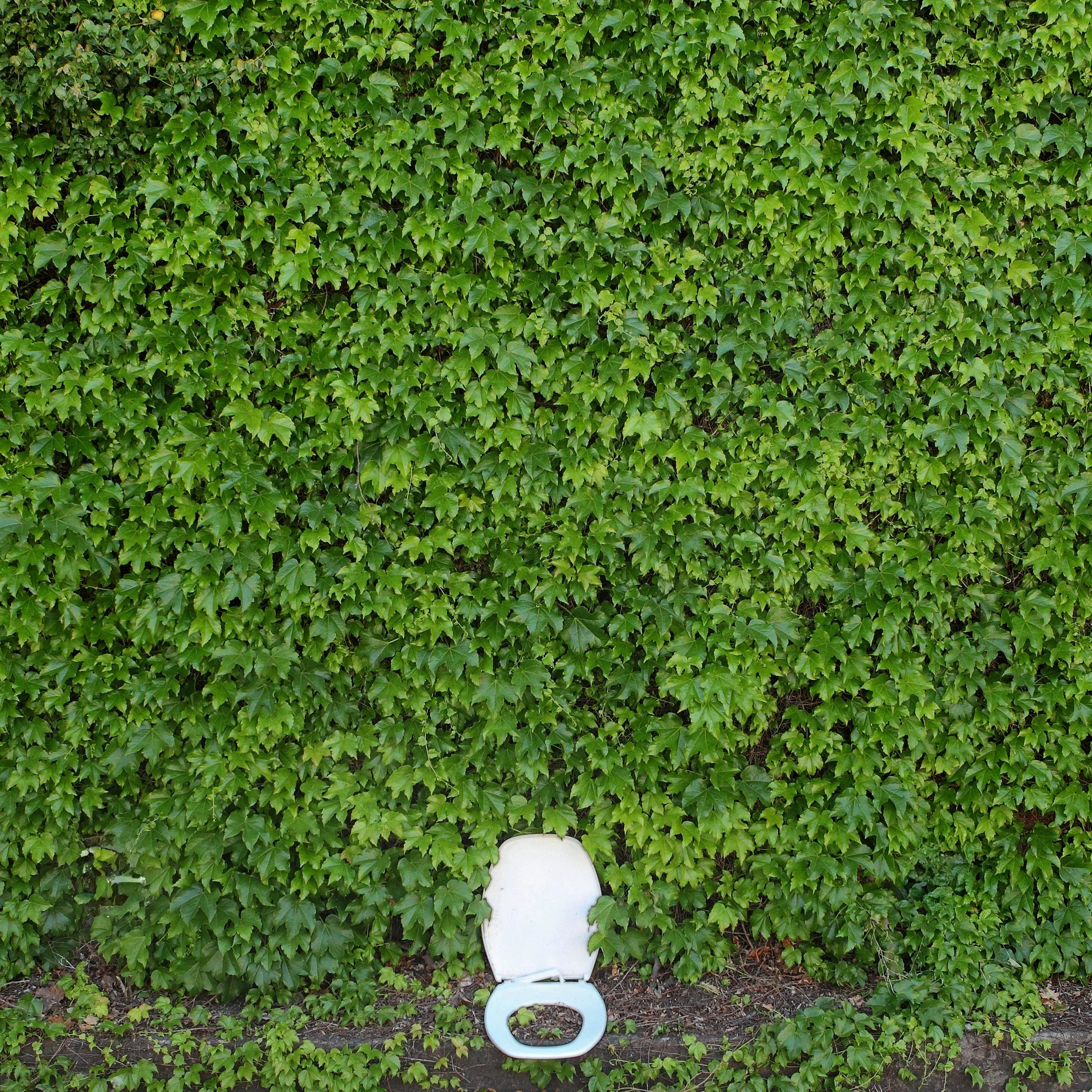 On the Daily 15_R.jpg