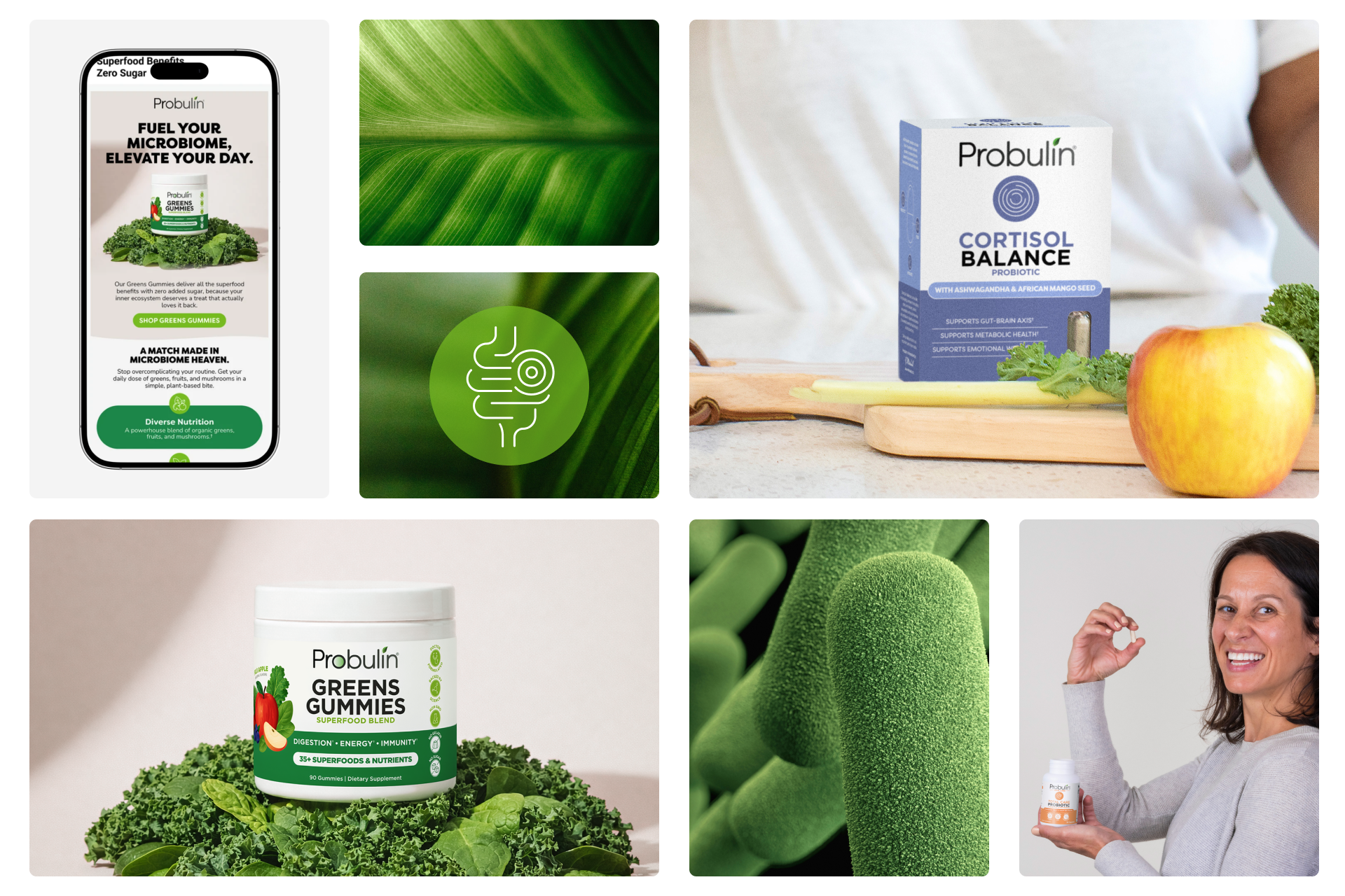 NH_Probulin_MoodBoard.png