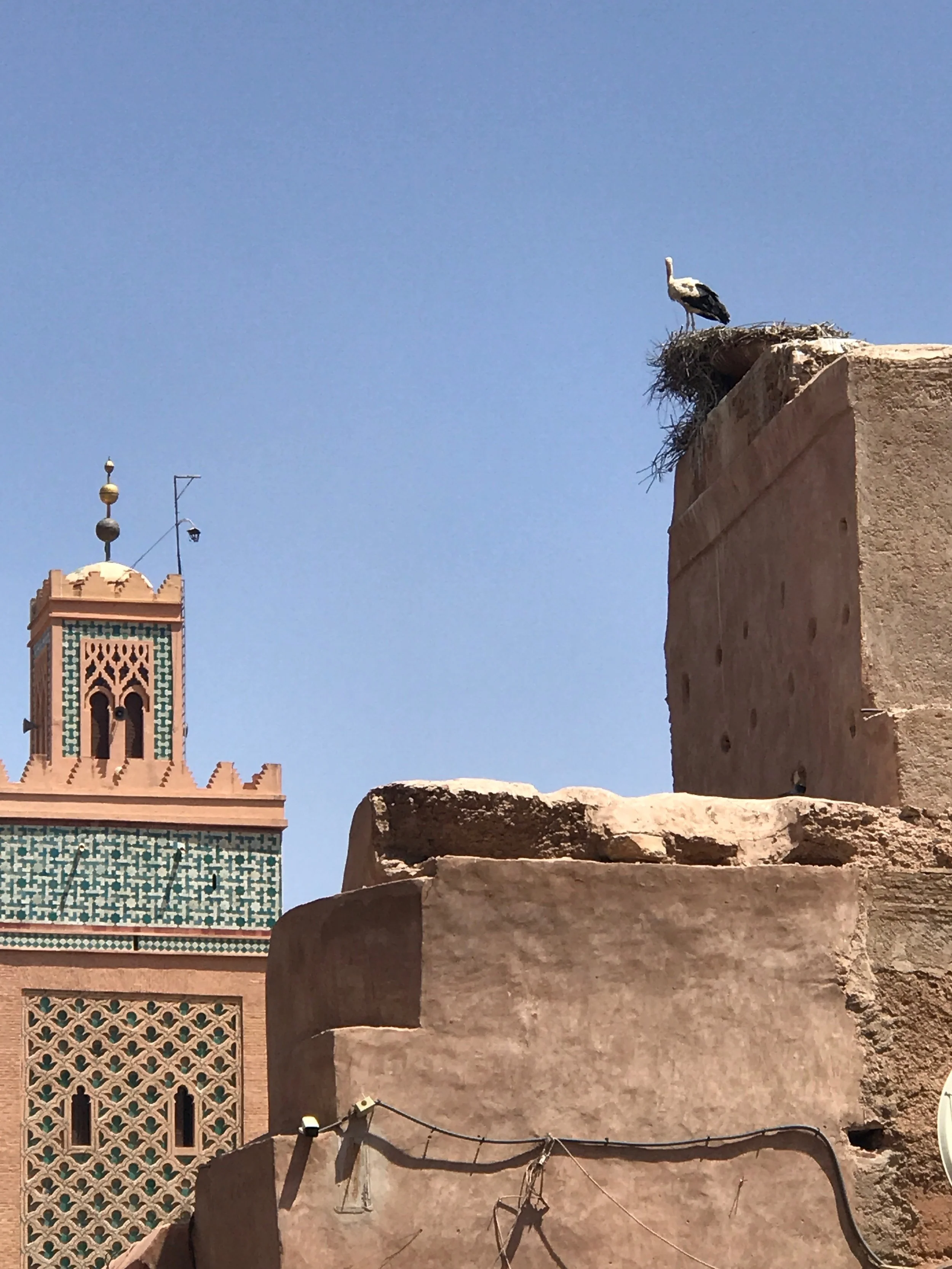 Kig op og få øje på de mange storke i Marrakech