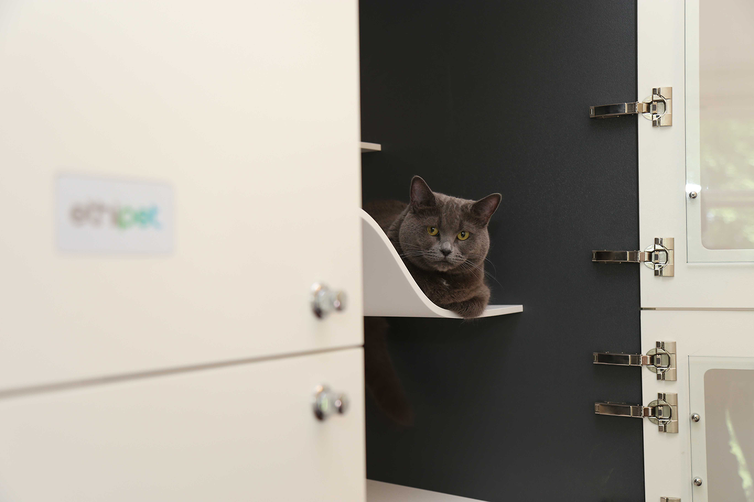 EP fat grey on y shelf.png
