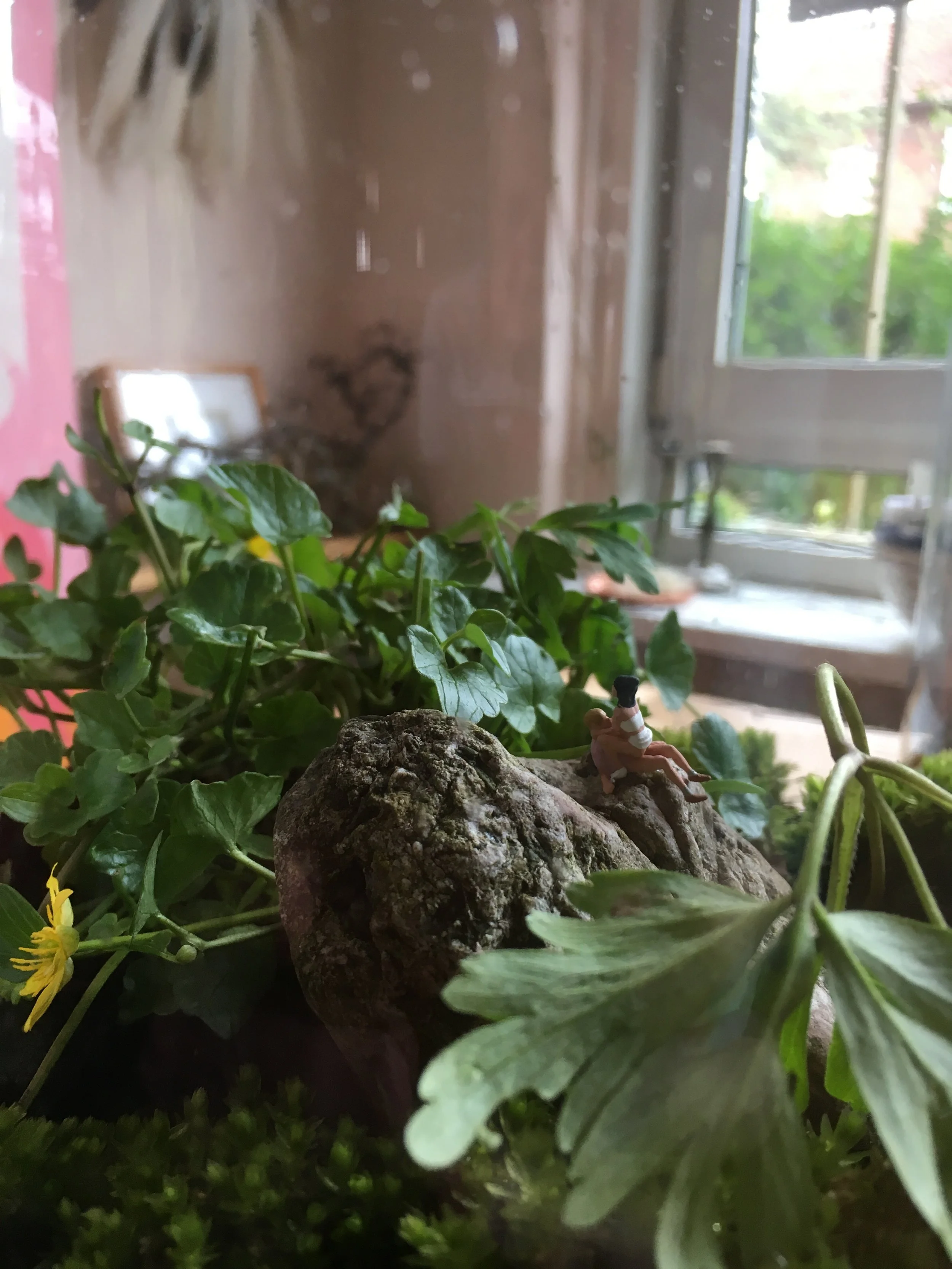 "Welnee joh! Niemand kan ons hier zien!"