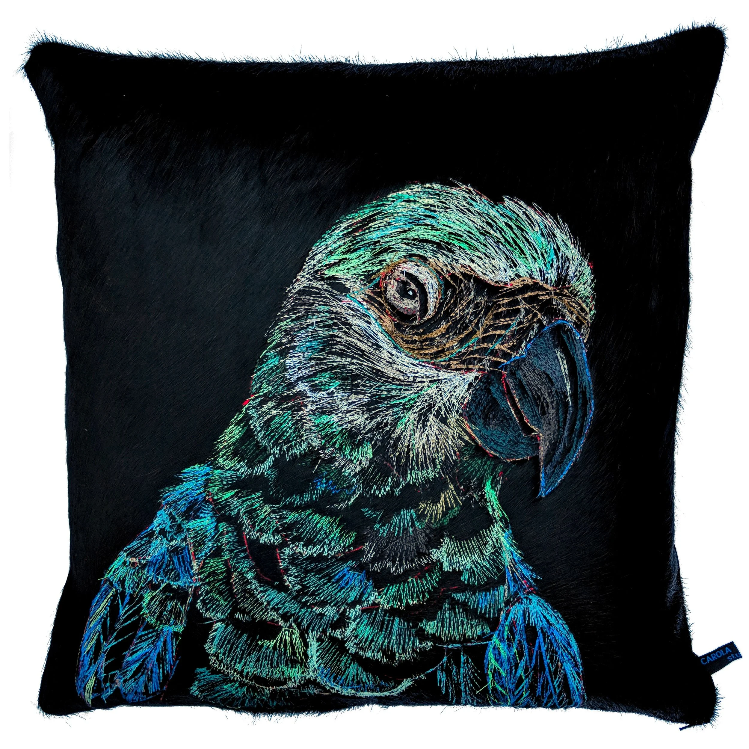 carolavandykebird2.jpeg