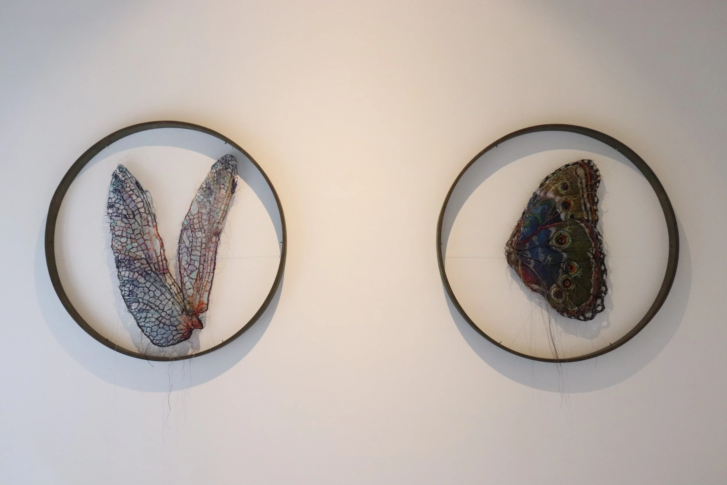 Up-Close Exhibition 2025 - Priveekollektie 14.JPG