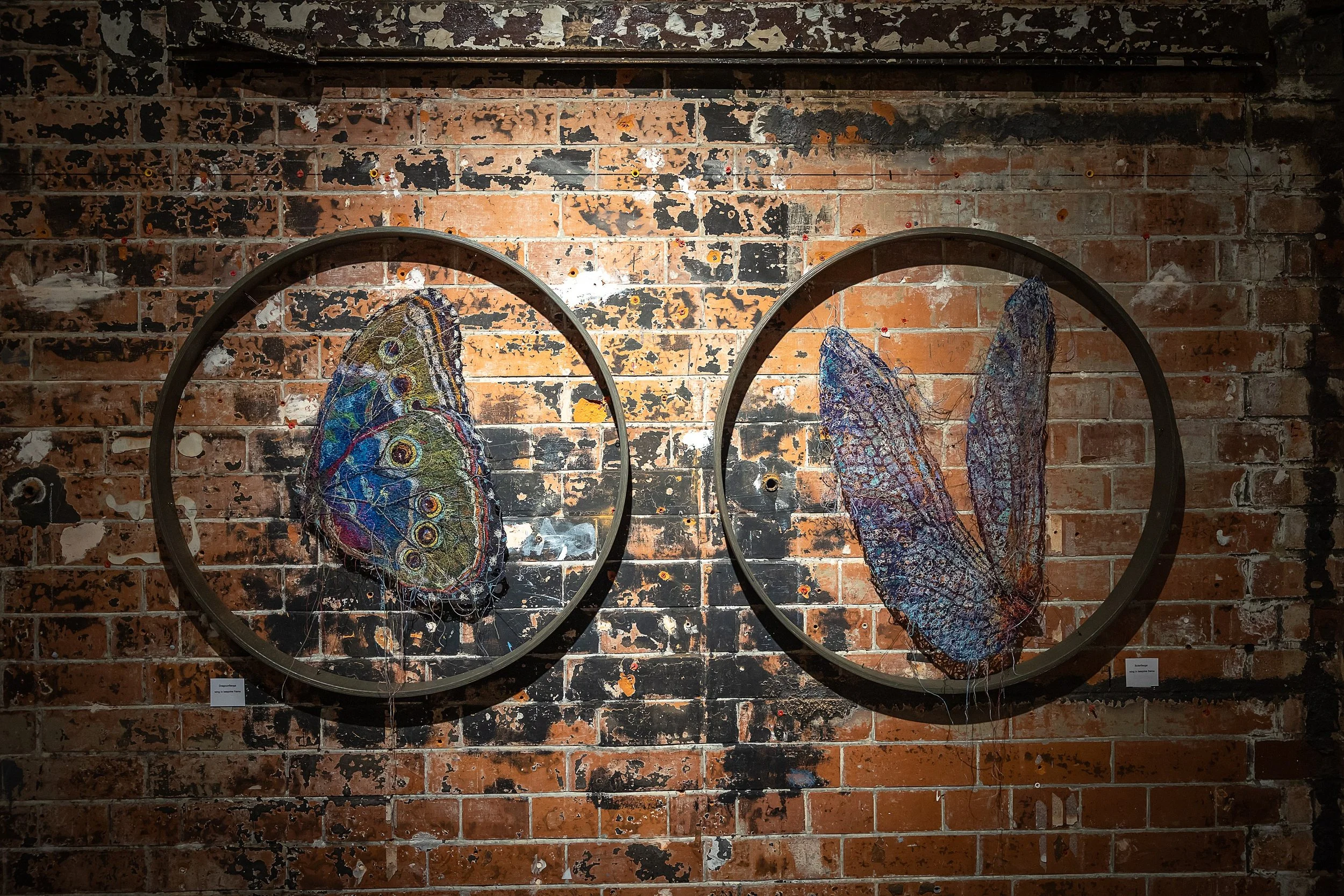 future-icons2024_15.05.24_dan weill photography-34.JPG