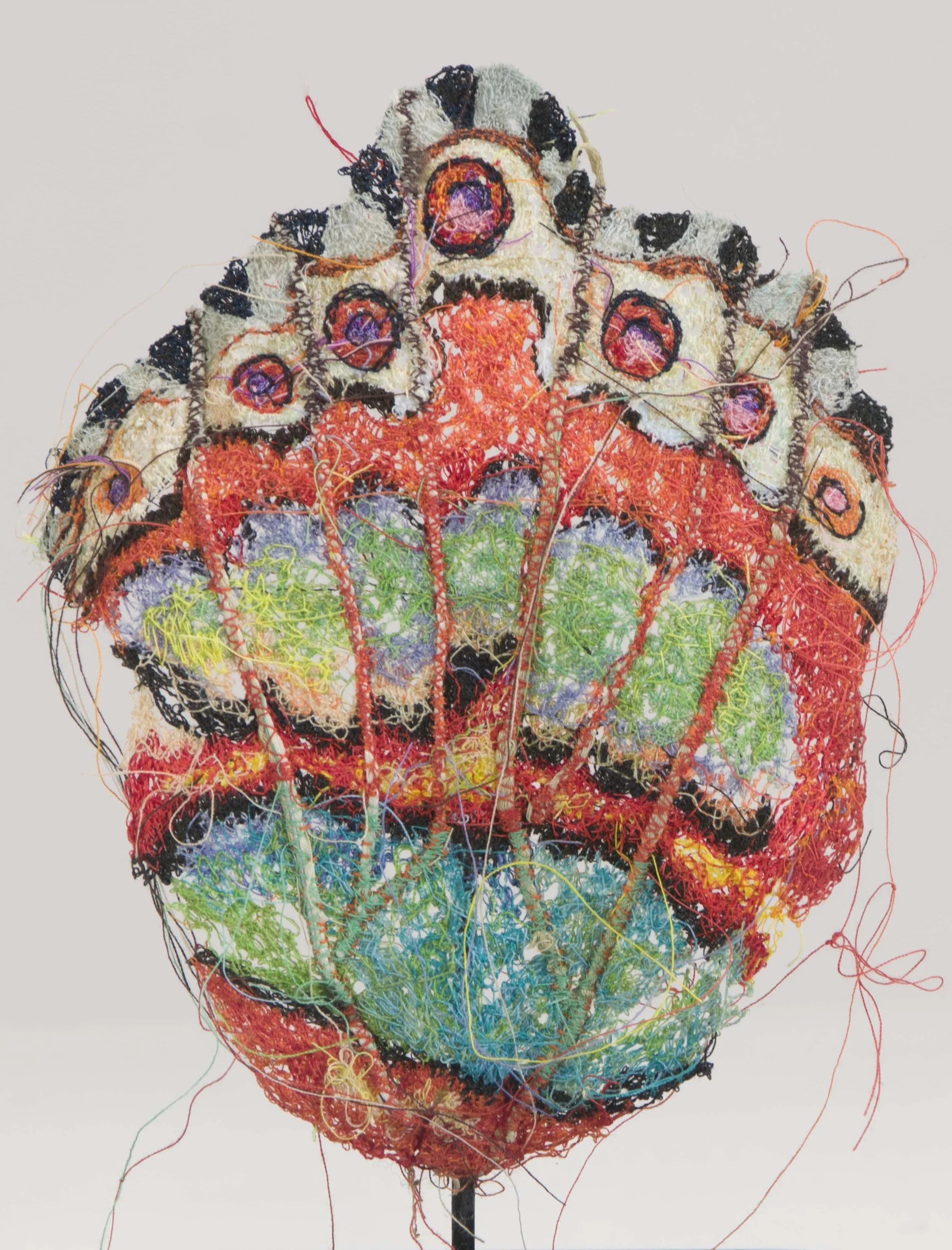Siproeta stelenes detail 1.jpg
